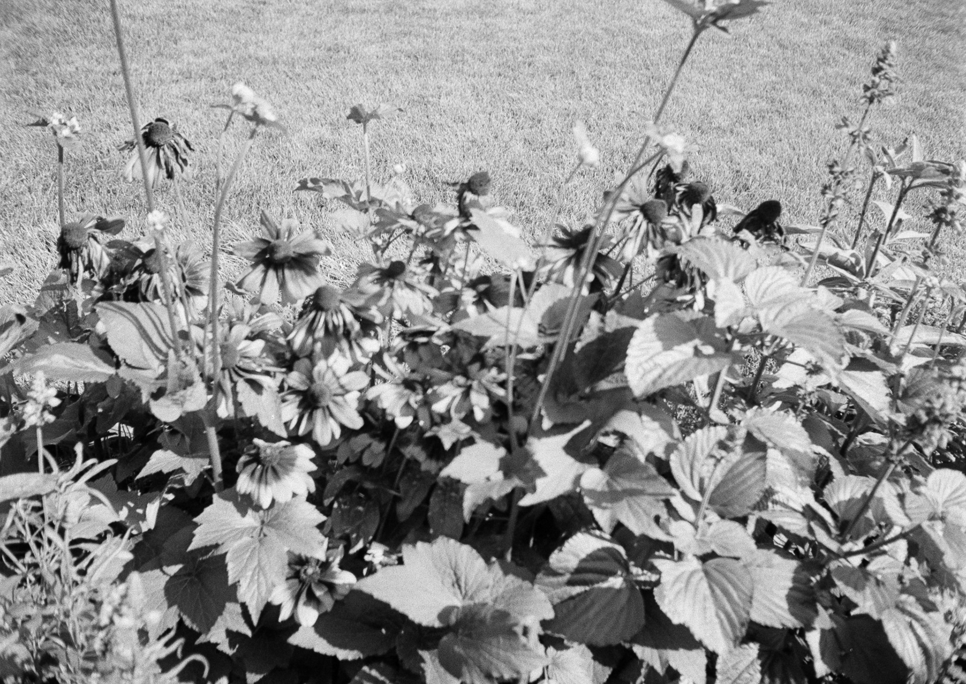 Kraków - © 2025 Tomasz Ryś