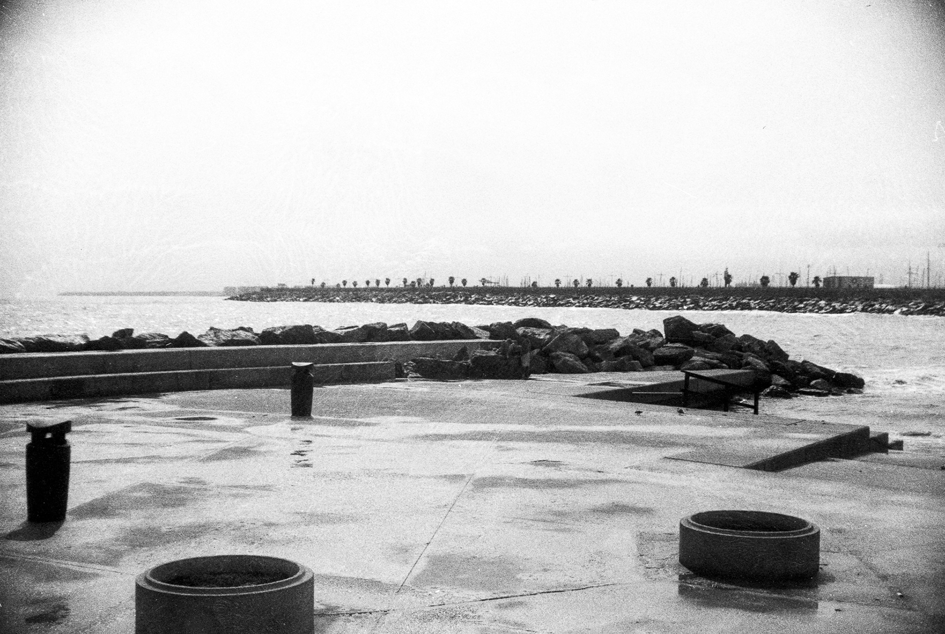 Torrevieja _ © 2024 Tomasz Ryś