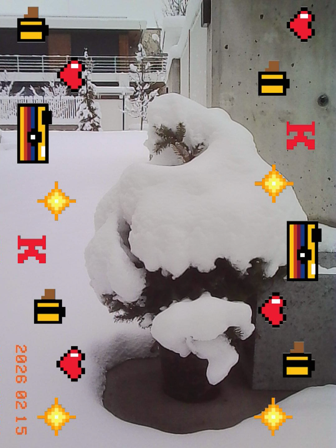 Drzewko w śniegu - © 2026 Tomasz Ryś