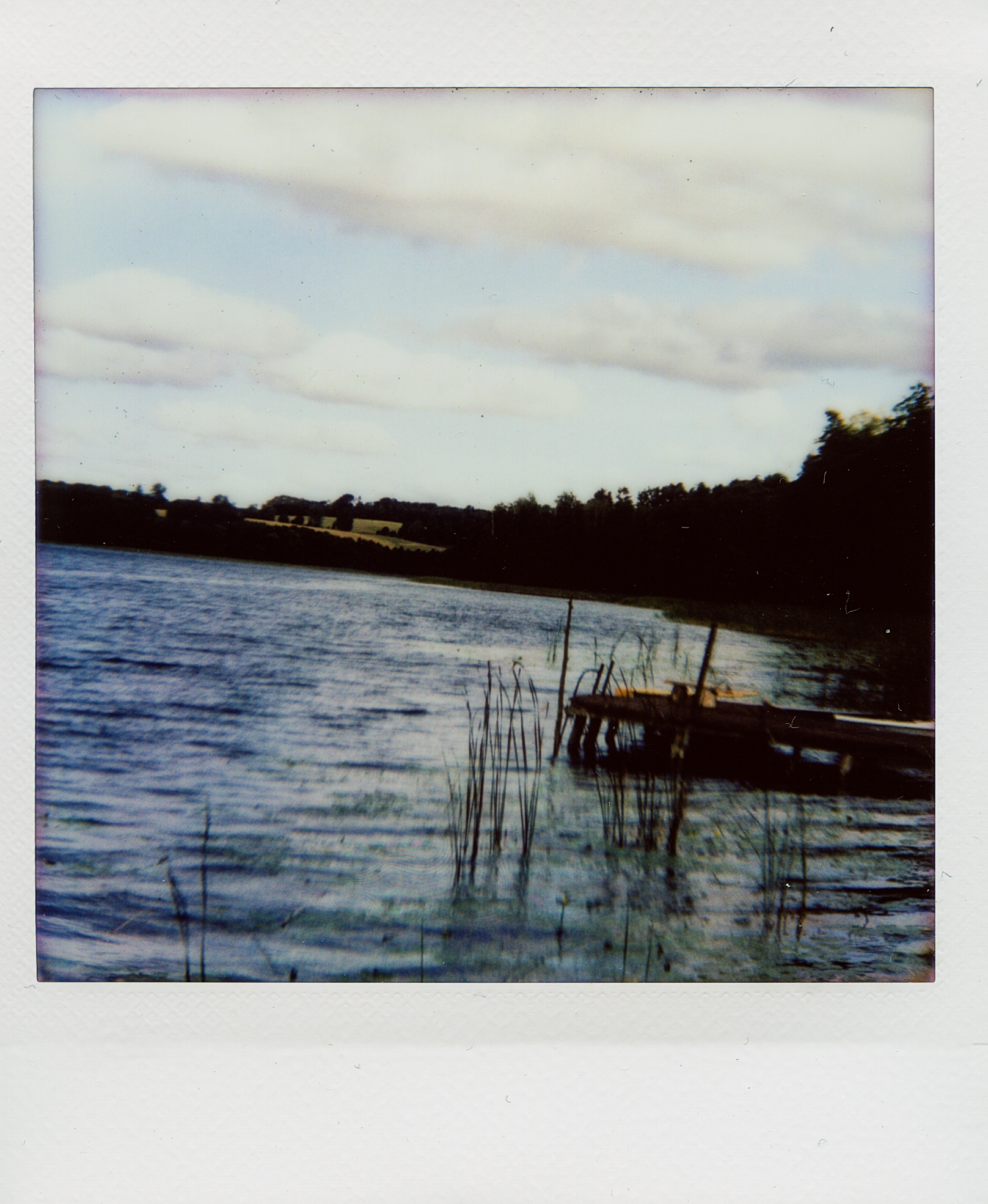 Biesówko. Canon AE-1 Program, FD 1:1.8 50mm, ISO 50, tryb auto