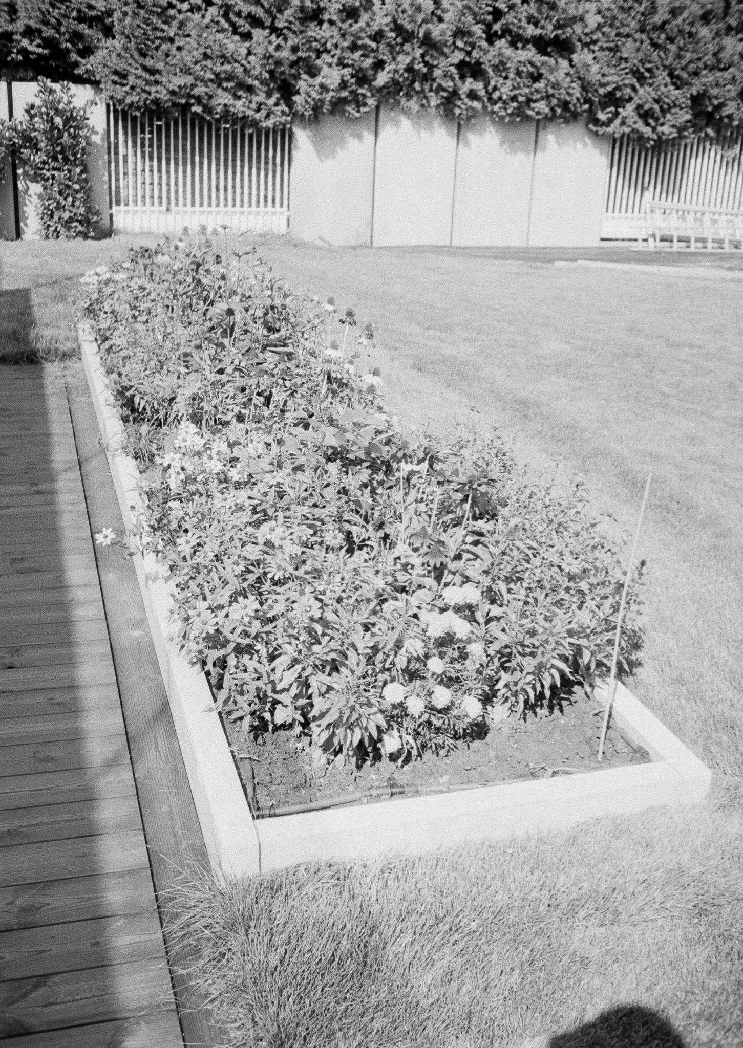 Kraków - © 2025 Tomasz Ryś