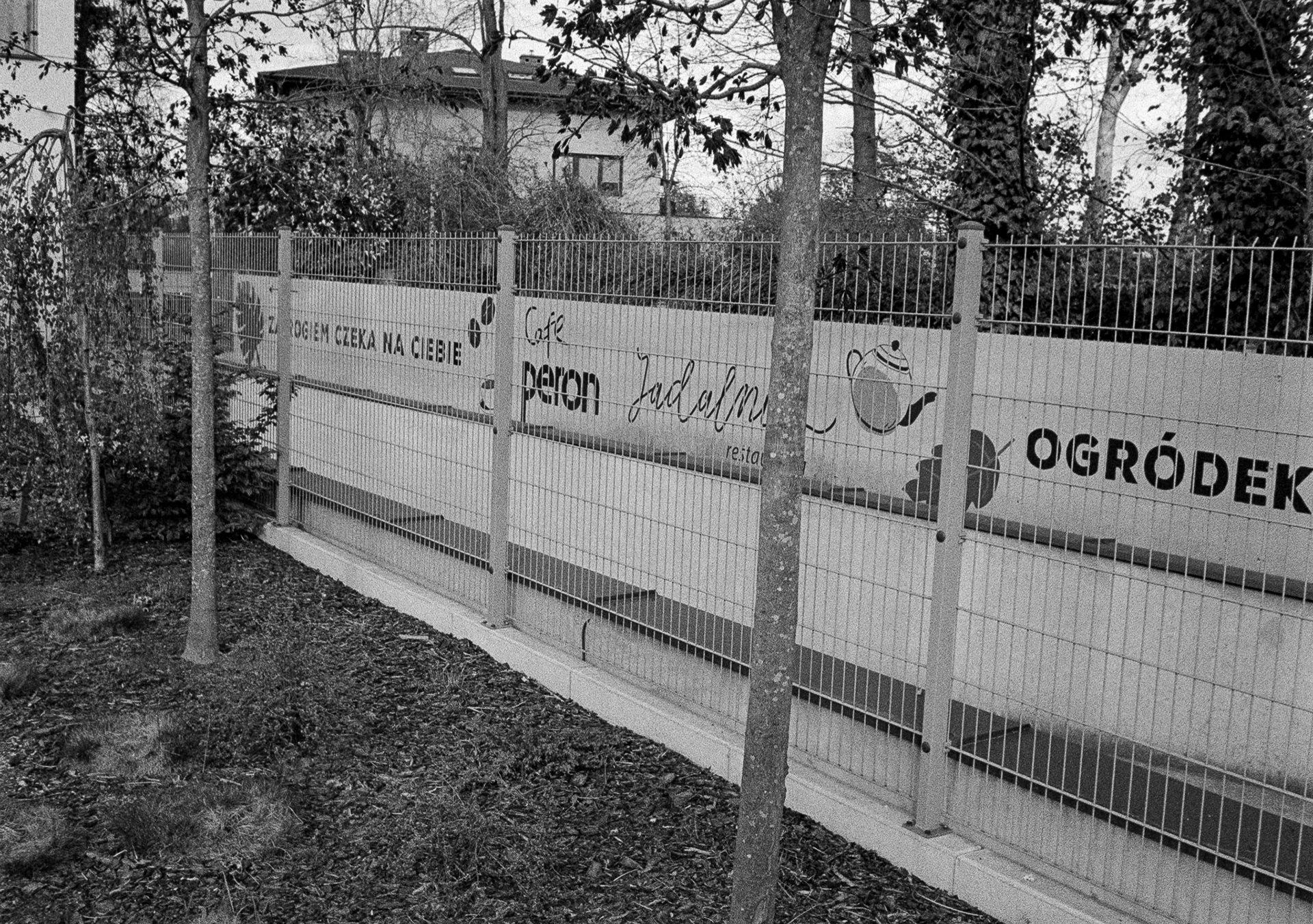 Warszawa, Międzylessie - © 2025 Tomasz Ryś