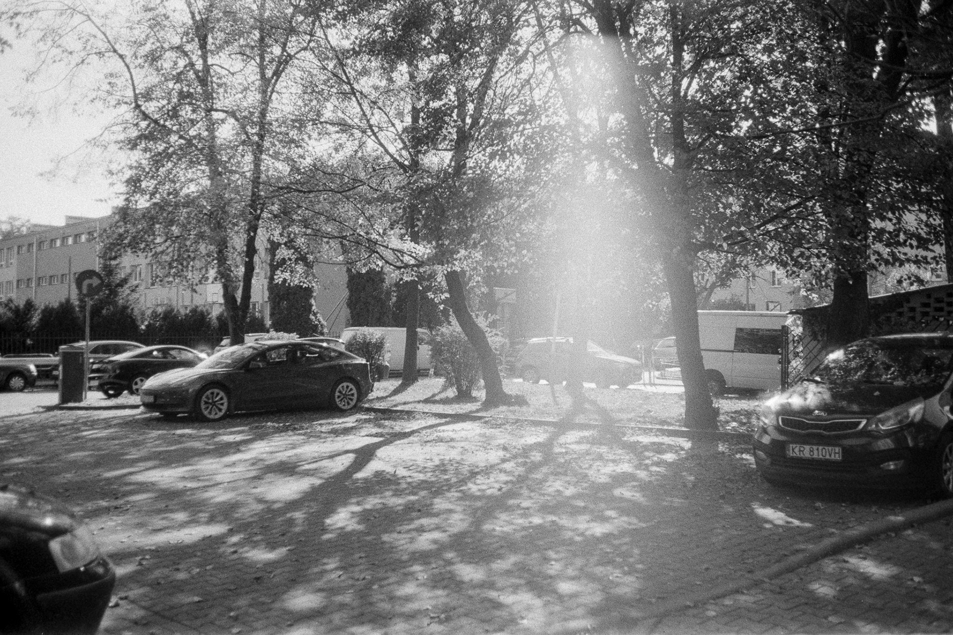 Kraków (zdjęcie pod słońce) - © 2024 Tomasz Ryś