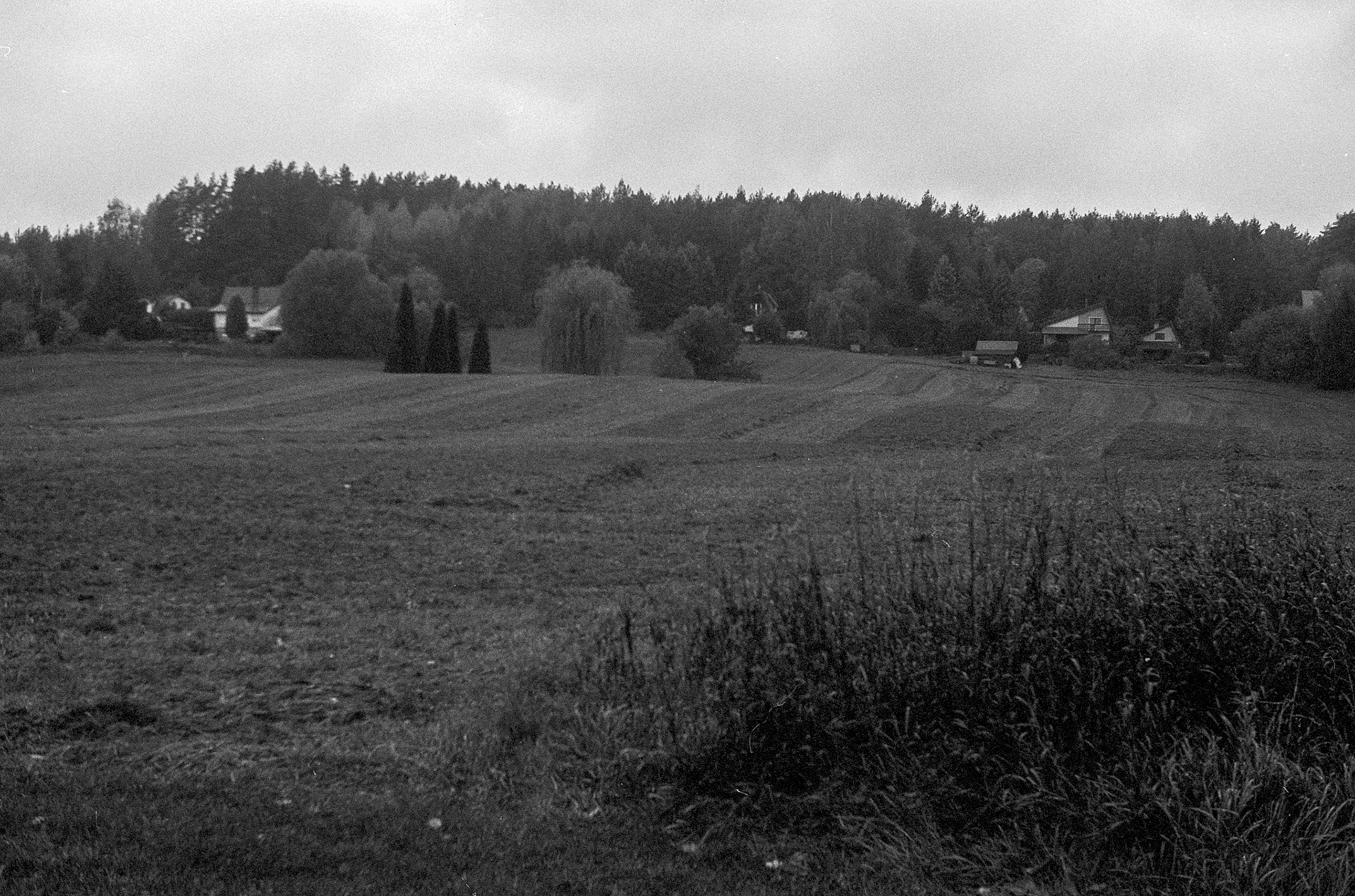 © 2023 Tomasz Ryś, Ilford FP4+, Infosol 3