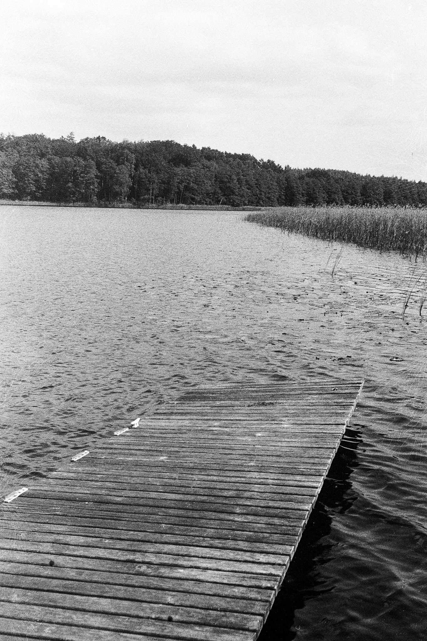 Biesówko, Warmia - © 2024 Tomasz Ryś
