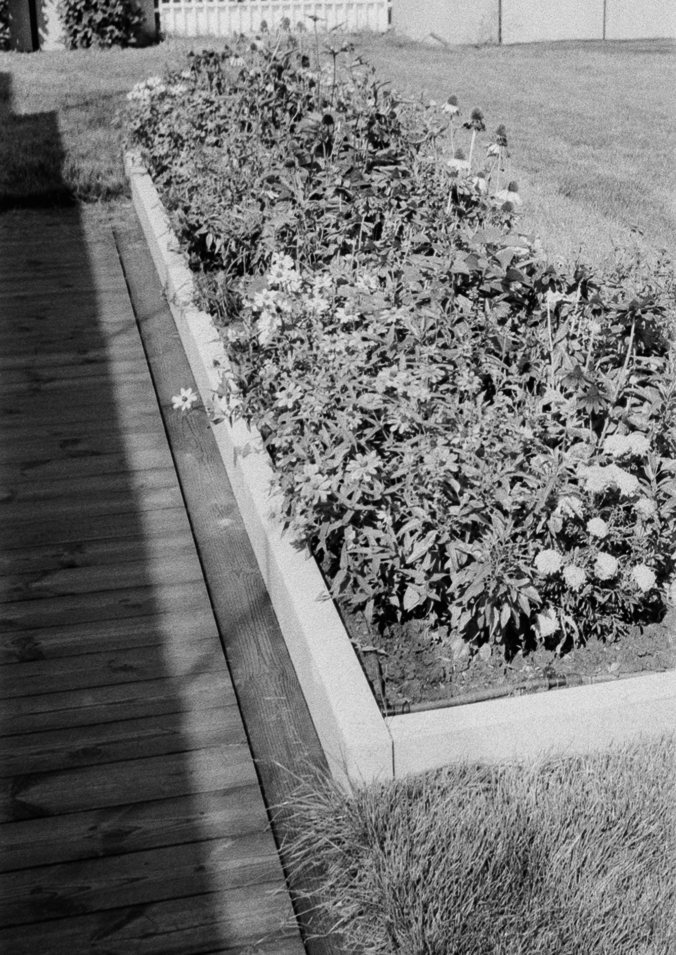 Kraków - © 2025 Tomasz Ryś