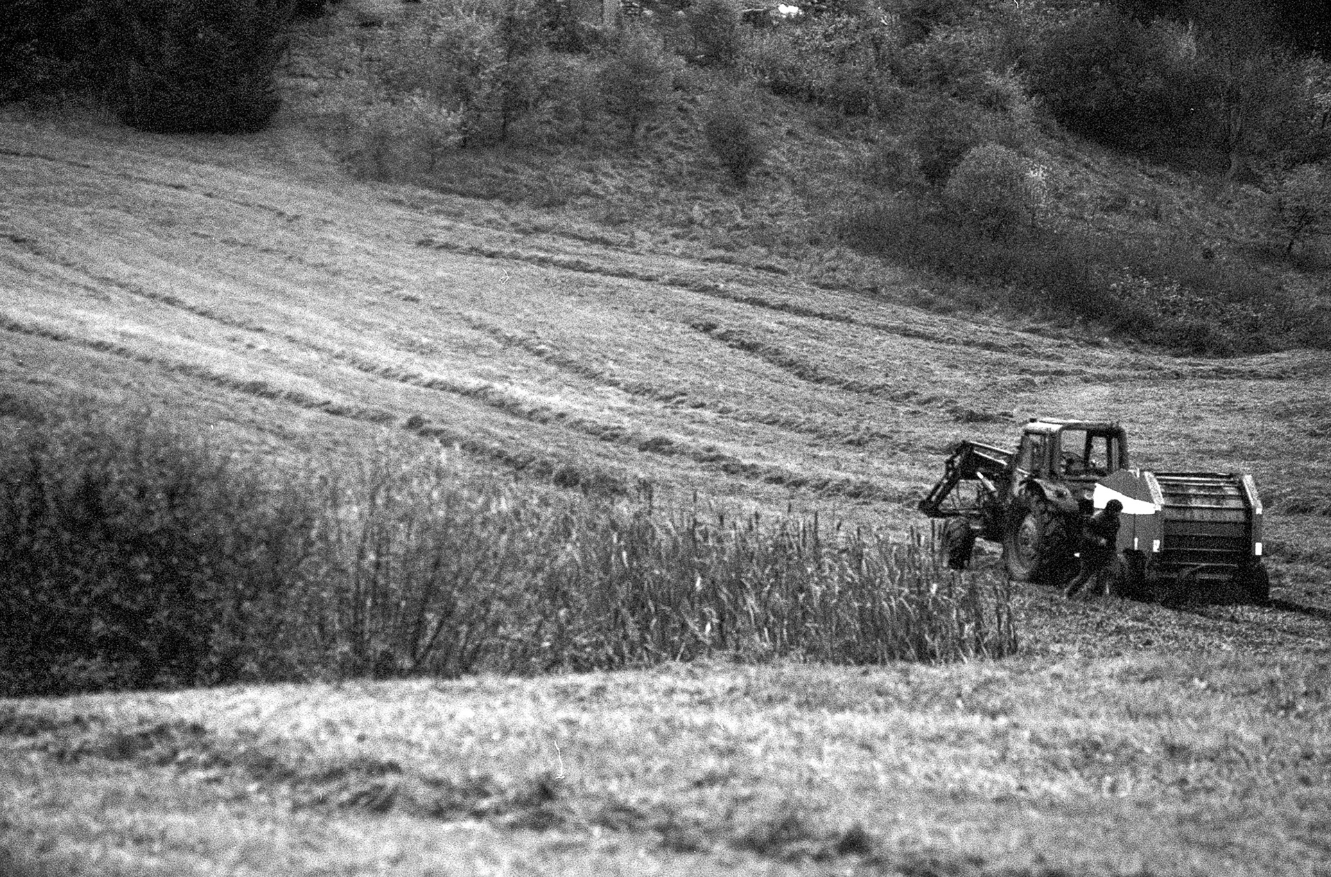 © 2023 Tomasz Ryś, Ilford FP4+, Infosol 3