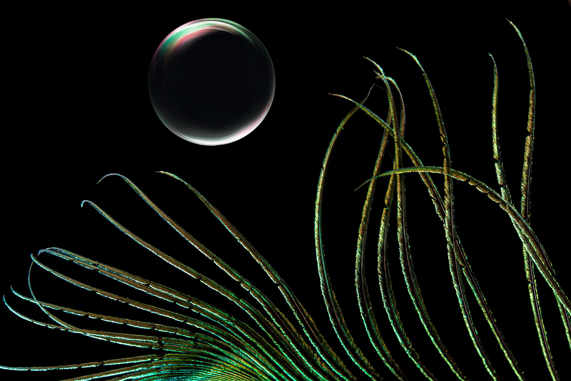 Light as a Feather