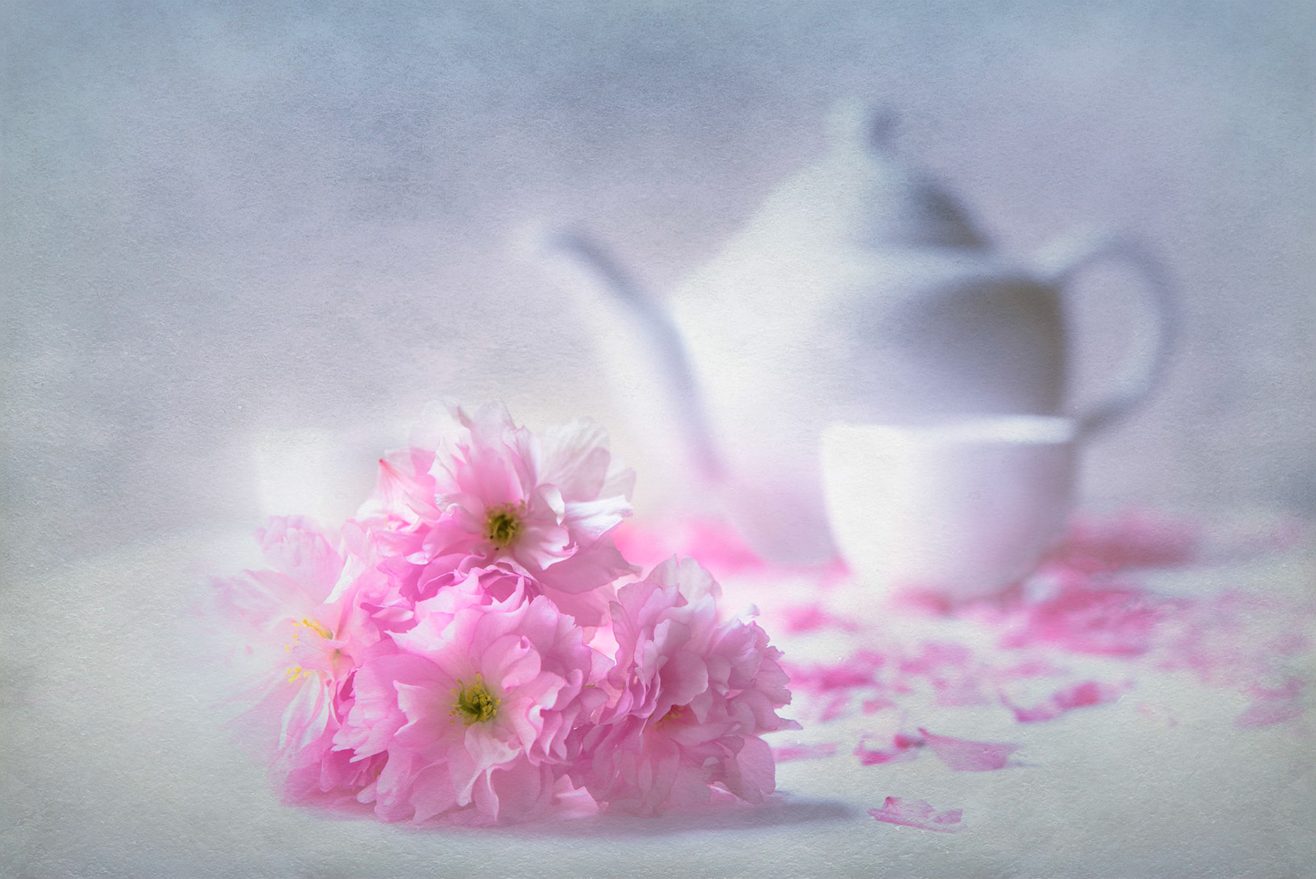 Cherry Blossom Tea