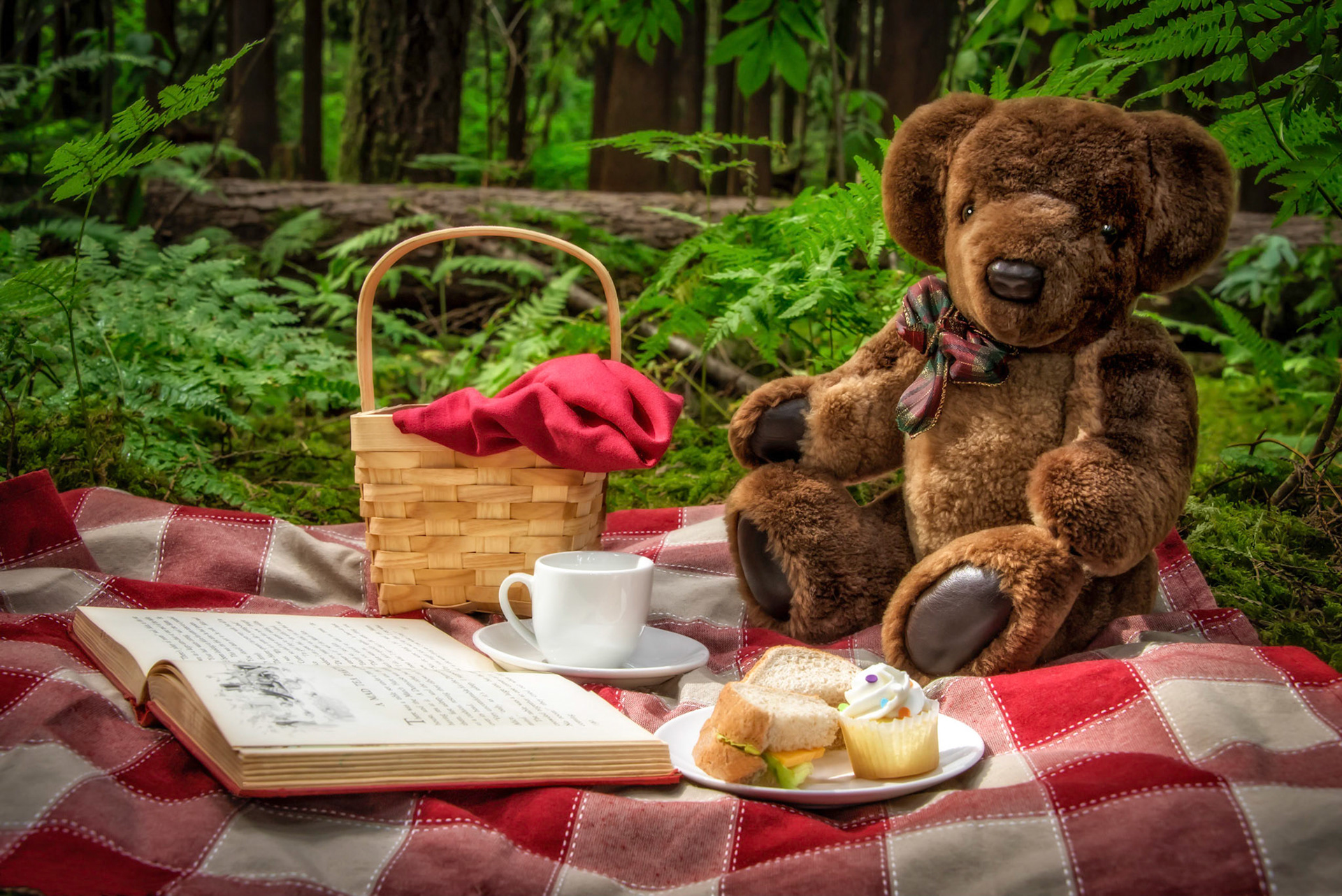 Teddy Bear's Picnic