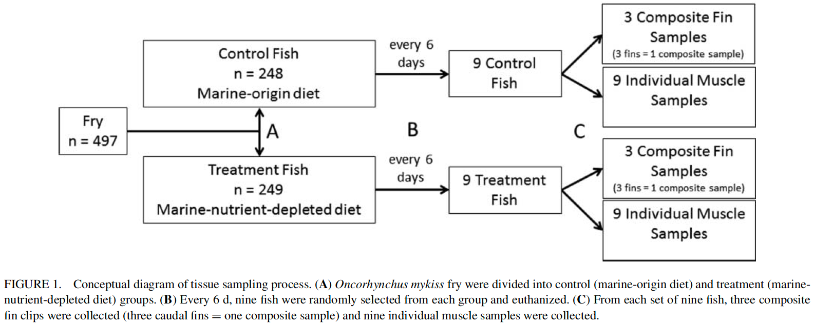 Emily J. Thornton, Ronald W. Hardy & Thomas P. Quinn (2015) Experimental Determination of the Limits of Using Stable Isotopes to Distinguish Steelhead and Rainbow Trout Offspring, North American Journal of Fisheries Management, 35:4, 810-817