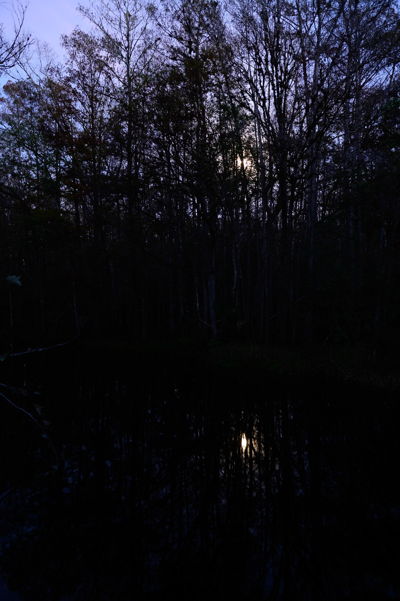 Moonrise Creek