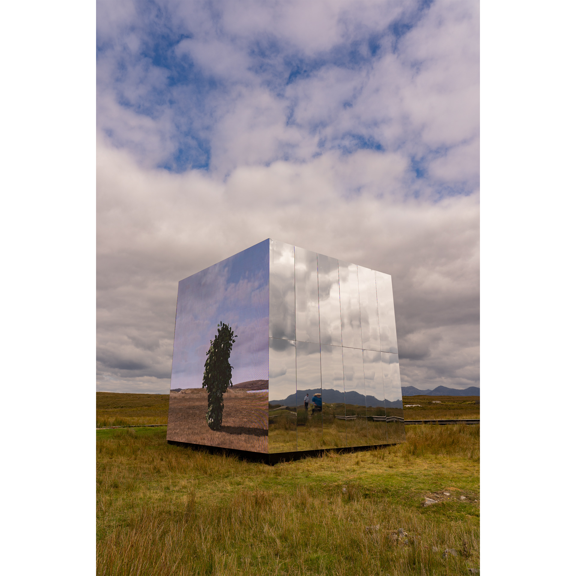 John Gerrard - Leaf Work installation, The Burren