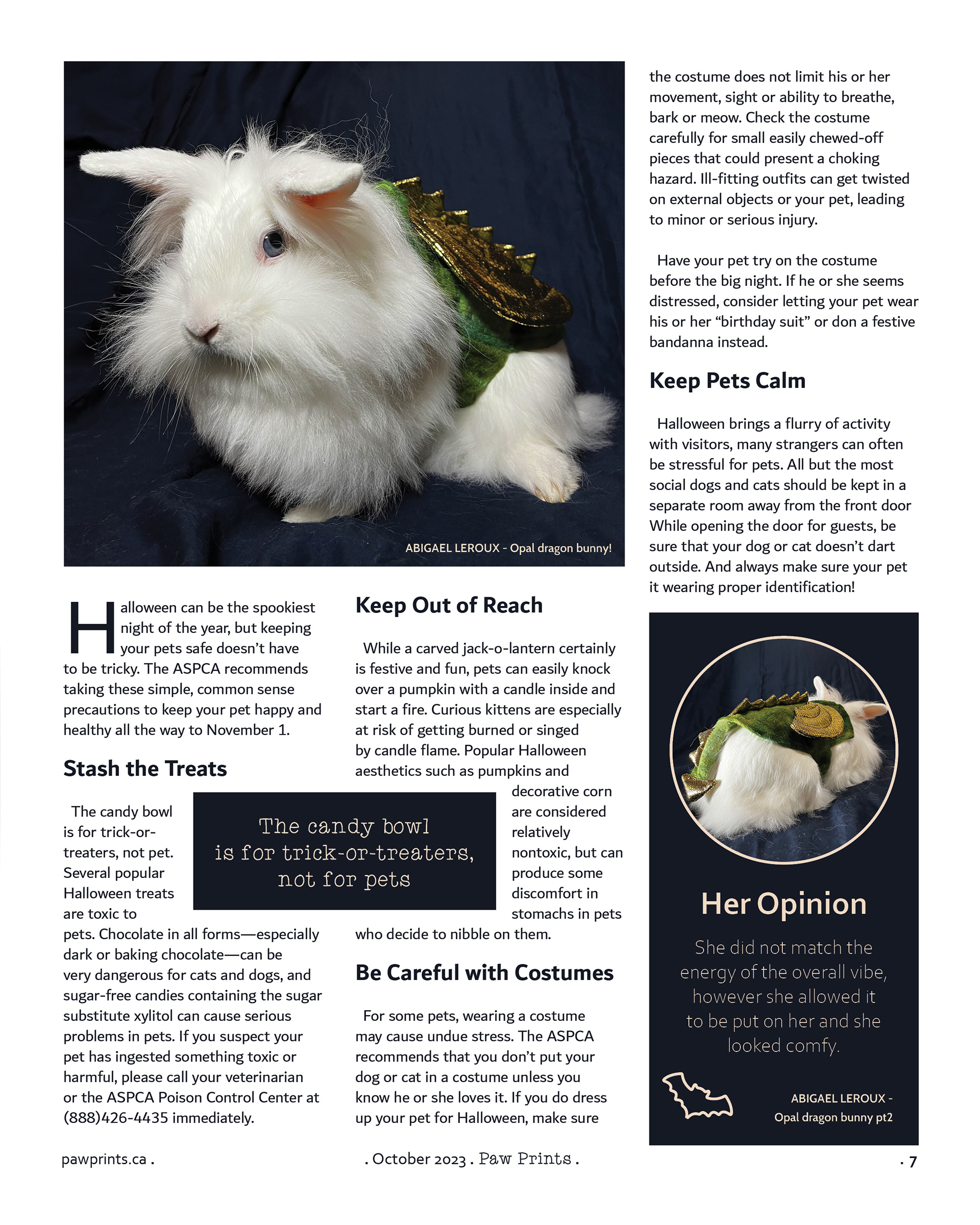 Mag Feature