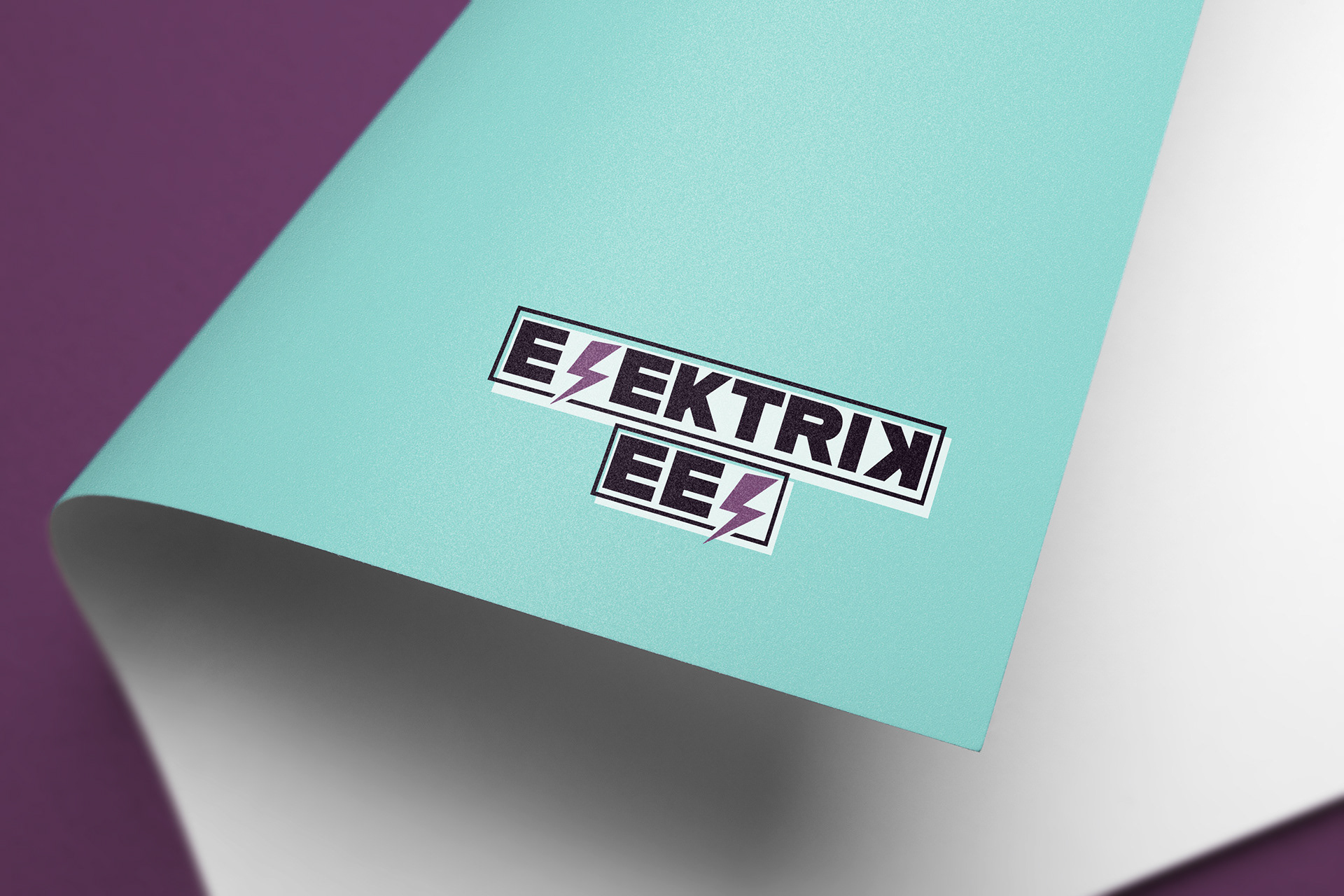 Elektrik Eel Logo Mockup
