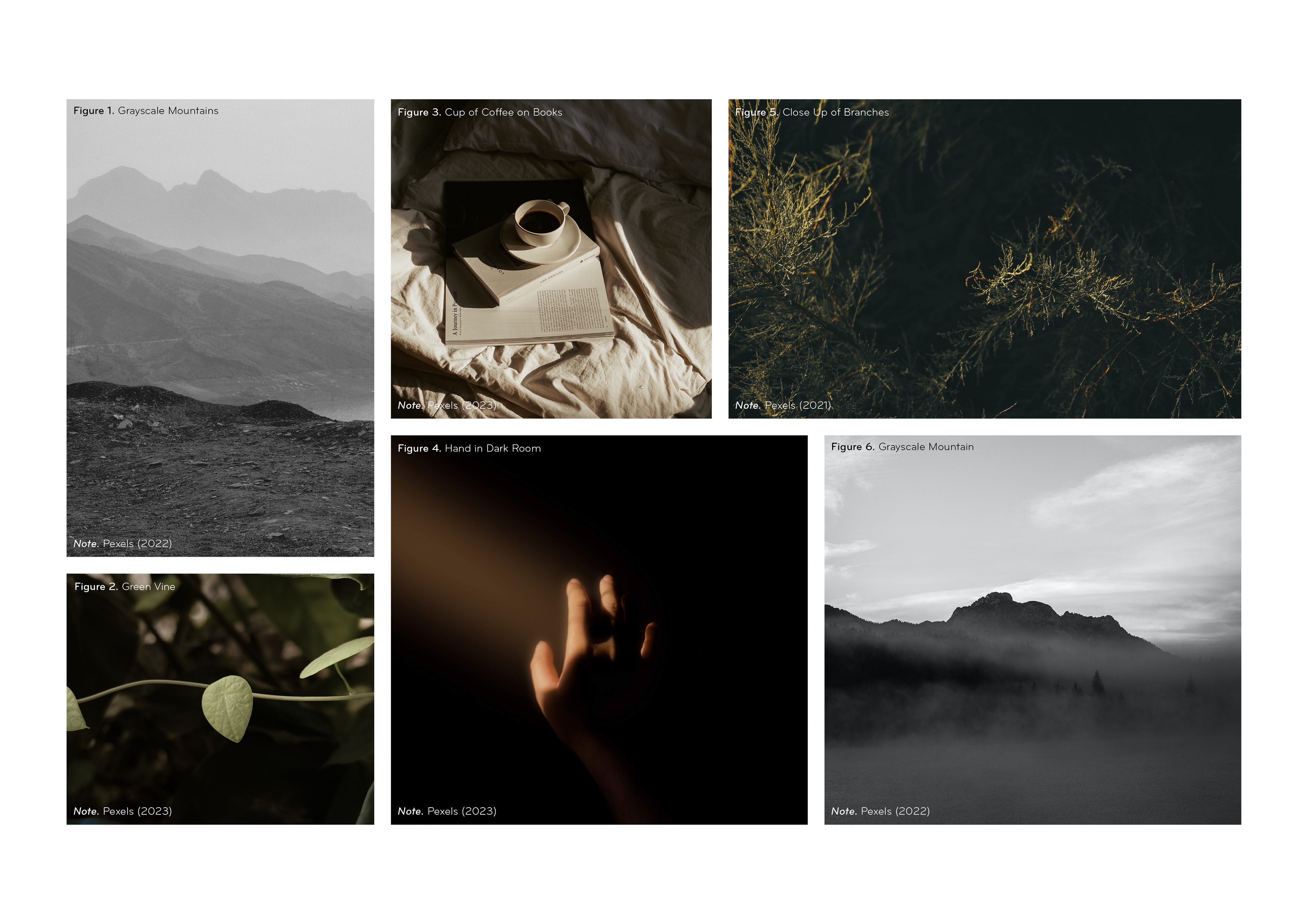 Mood Board