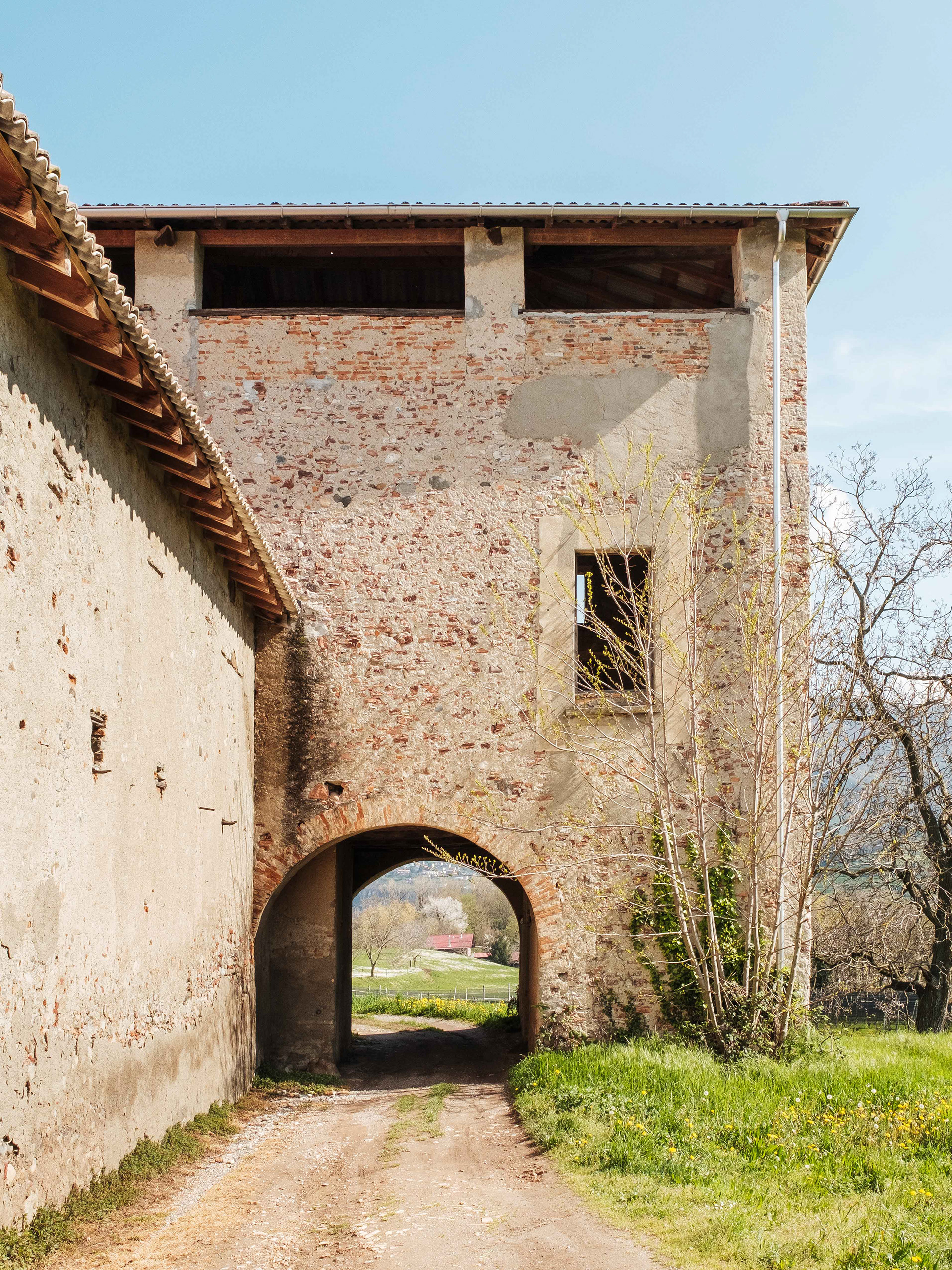 Masseria al Loi, Boscherina, 2024 (Francesco Tadini)