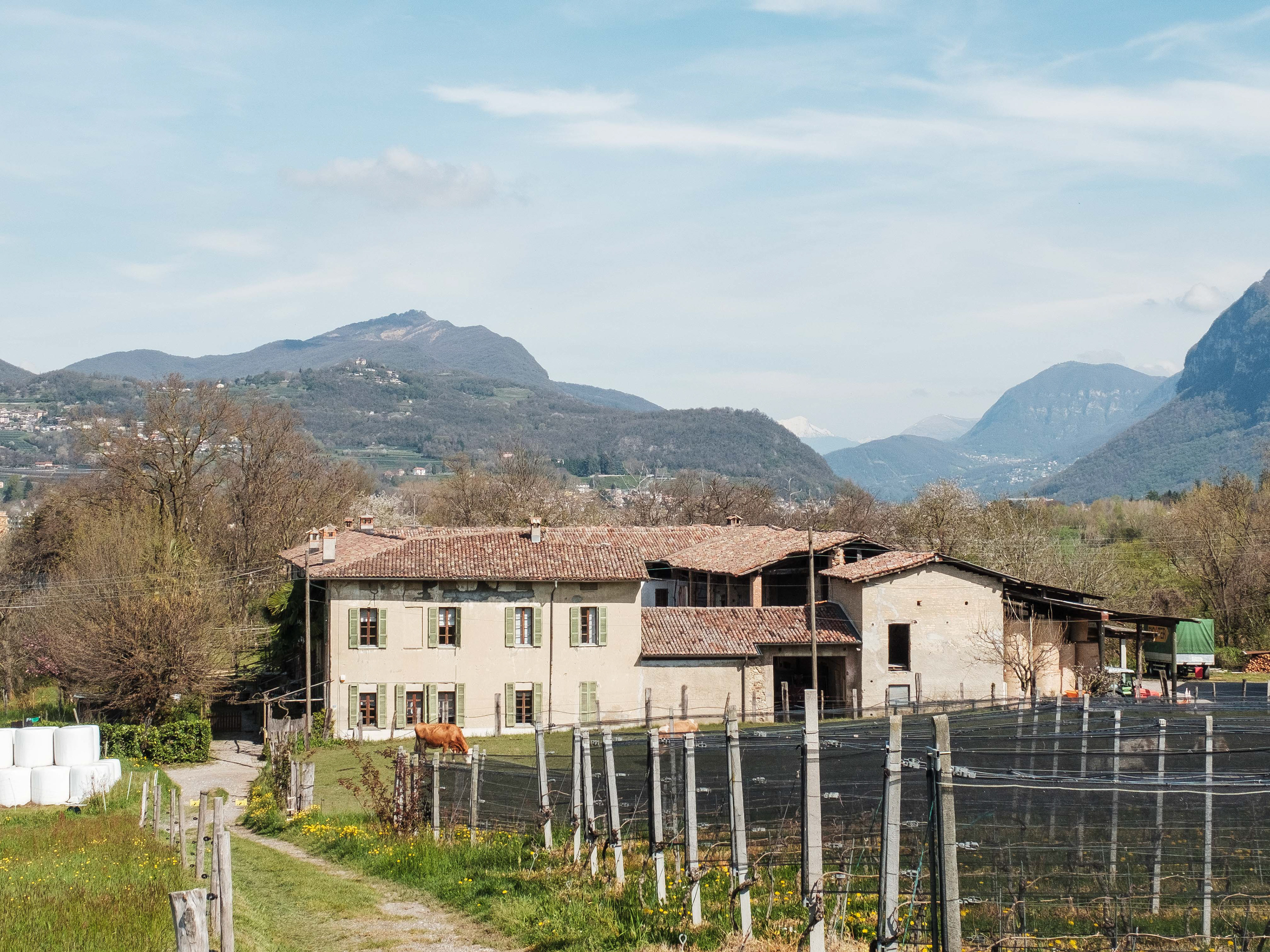 Masseria a Boscherina, 2024 (Francesco Tadini)