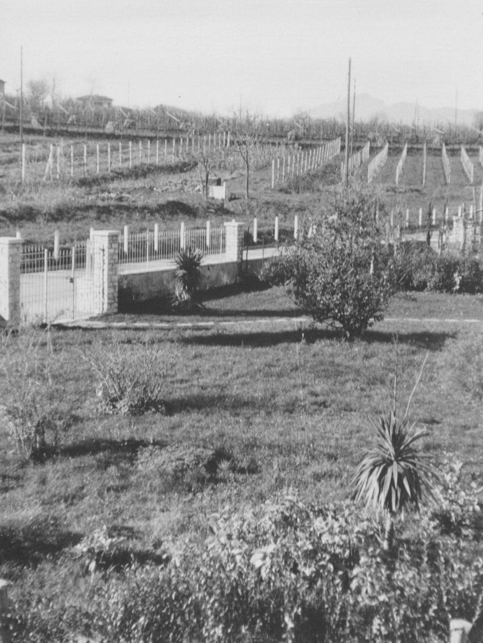 Via Casate a Novazzano, fine anni '50 (Famiglia Scheurer)