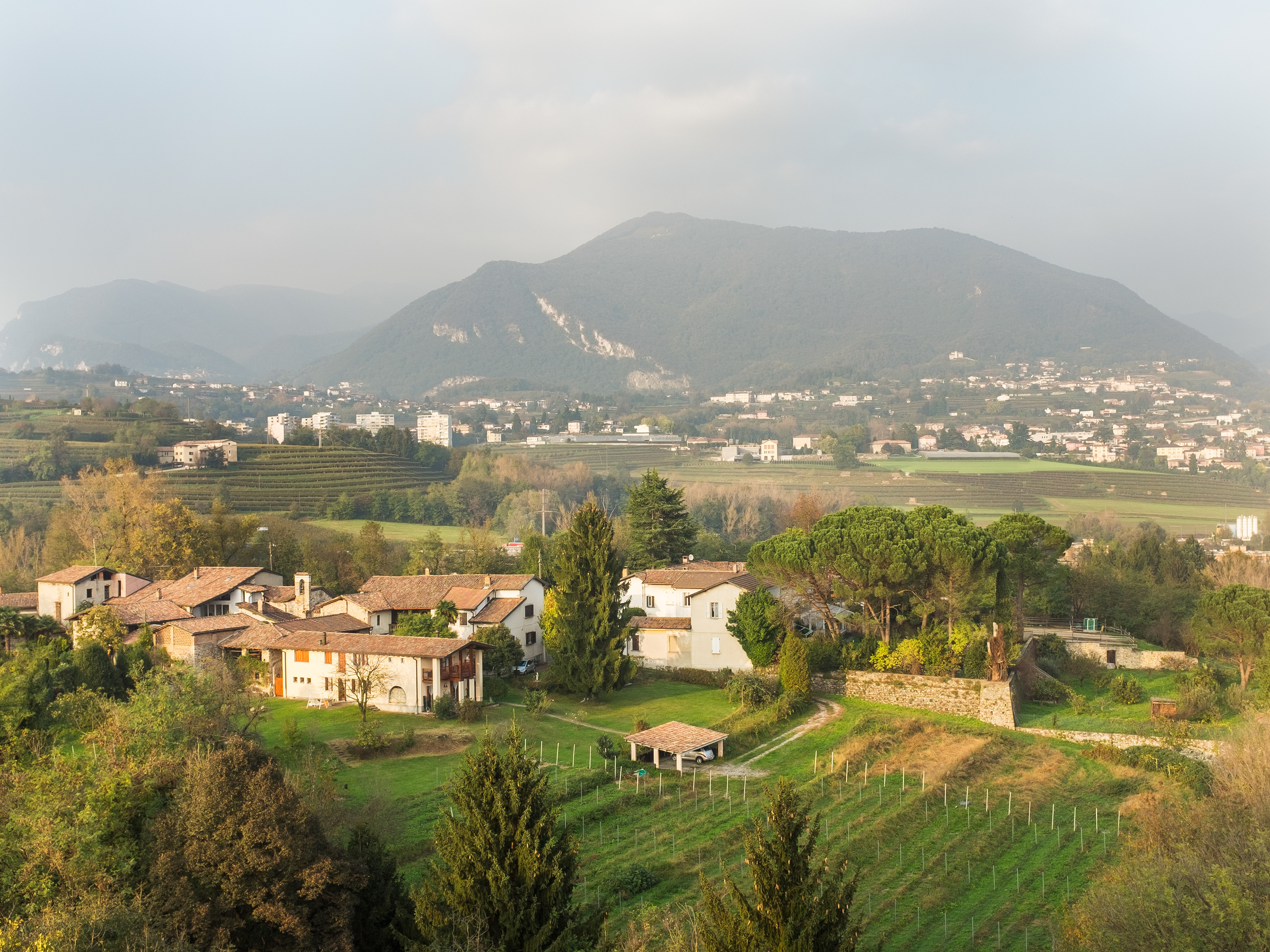 Castel di Sotto a Novazzano, 2014 (Francesco Tadini)