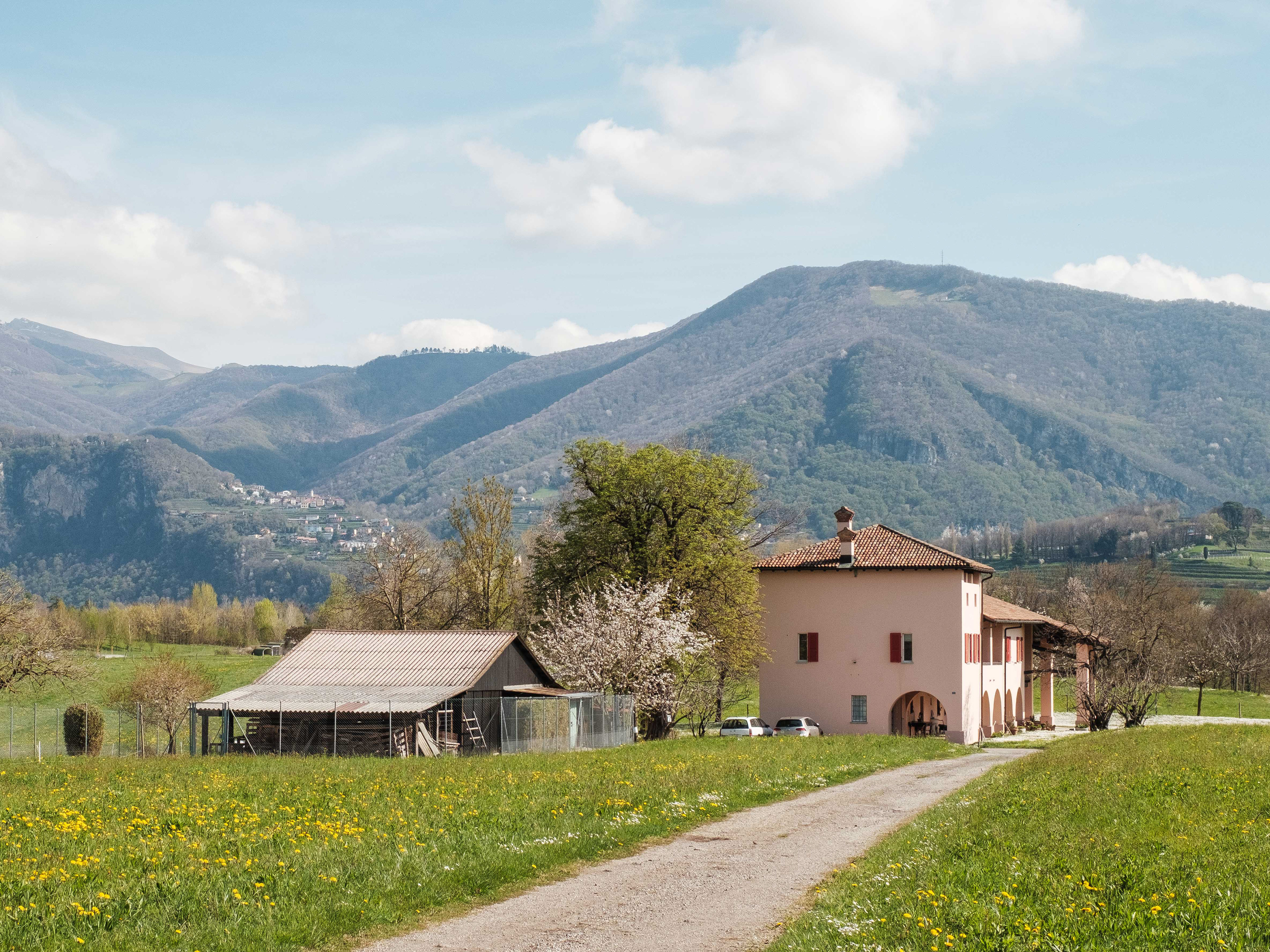Masseria al Loi, Boscherina, 2024 (Francesco Tadini)