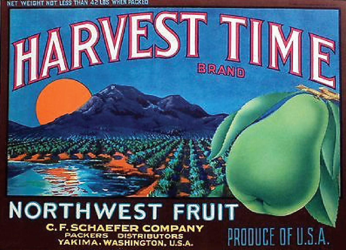 Source: https://www.etsy.com/listing/708946951/original-vintage-pear-crate-label-1940s?gpla=1&gao=1&utm_campaign=shopping_us_LABELBROKER_sfc_osa&utm_medium=cpc&utm_source=google&utm_custom1=0&utm_content=5769593&gclid=EAIaIQobChMIy4vRs7rN5QIVxBd9Ch2ADQScEAQYASABEgLlzvD_BwE
