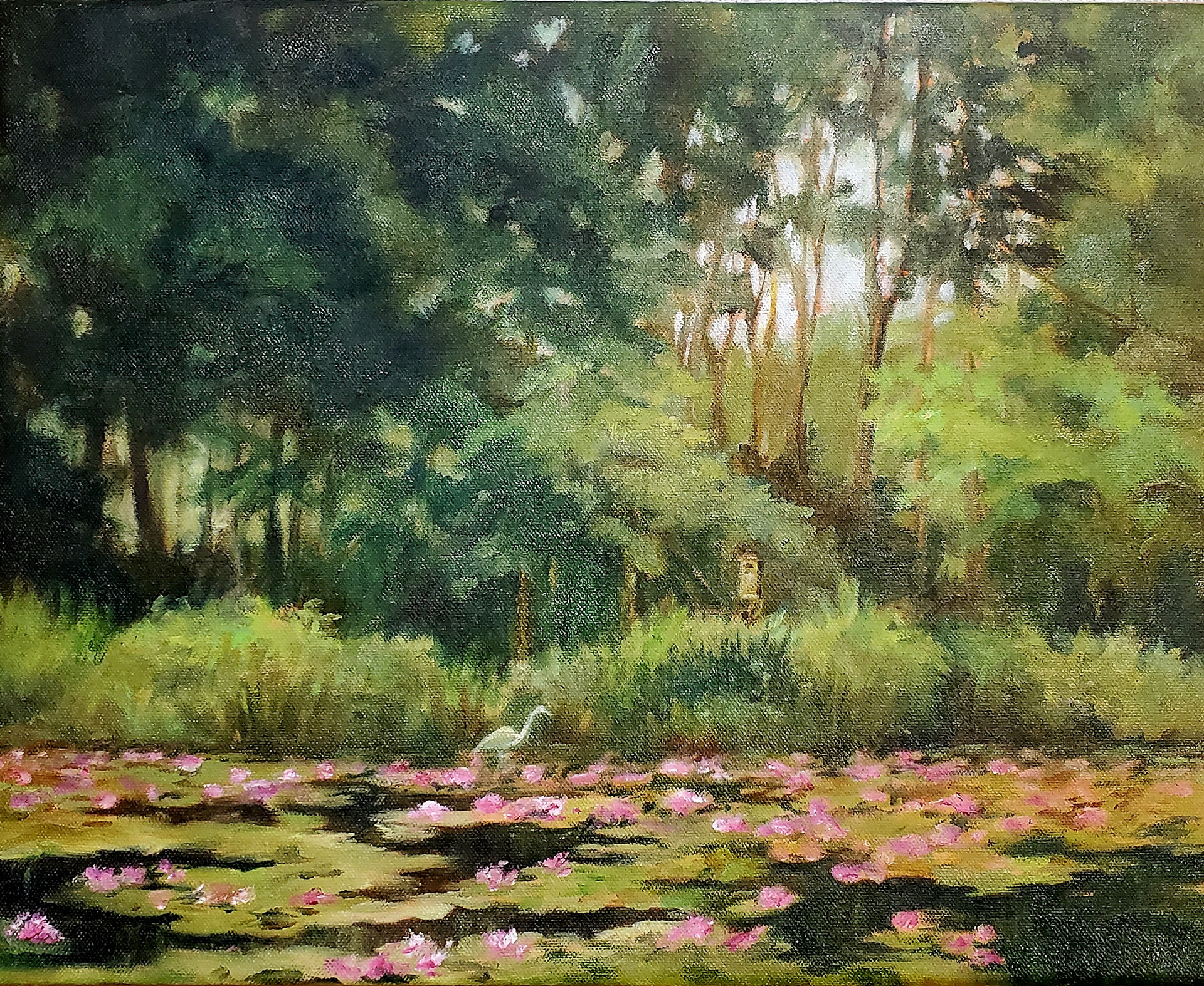 Invasion of Pink, 11 x 14, Oil on Canvas, $350