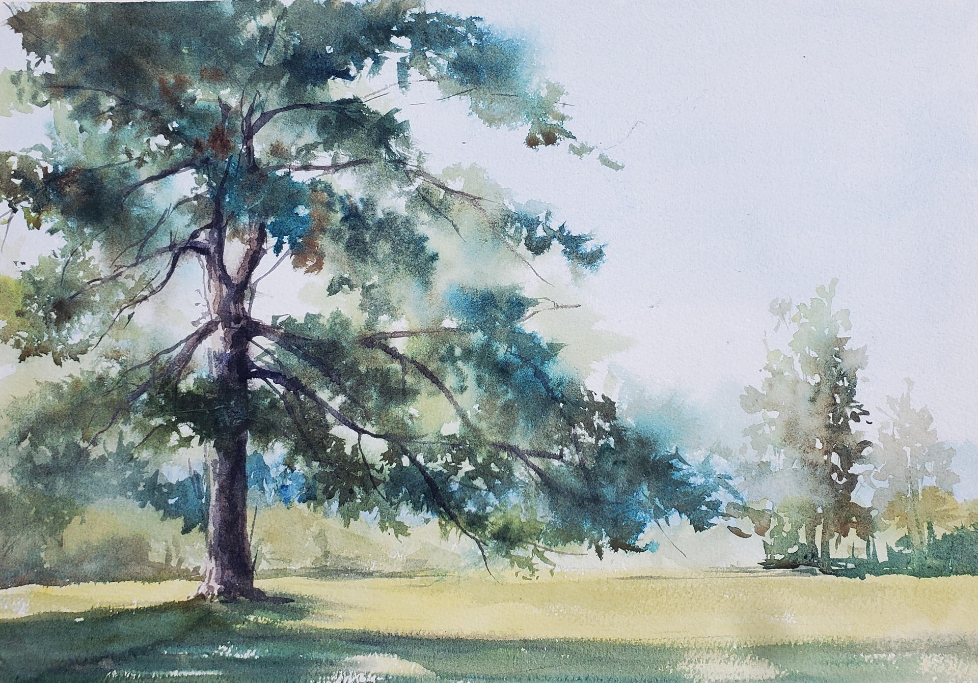 Welcoming Shade, 11 x 14, $350