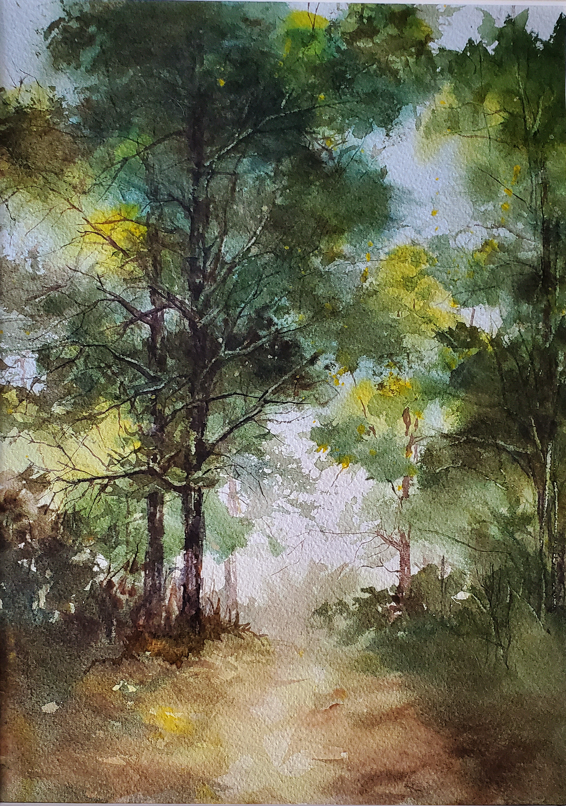 Sold, Afternoon Light at the Cottage