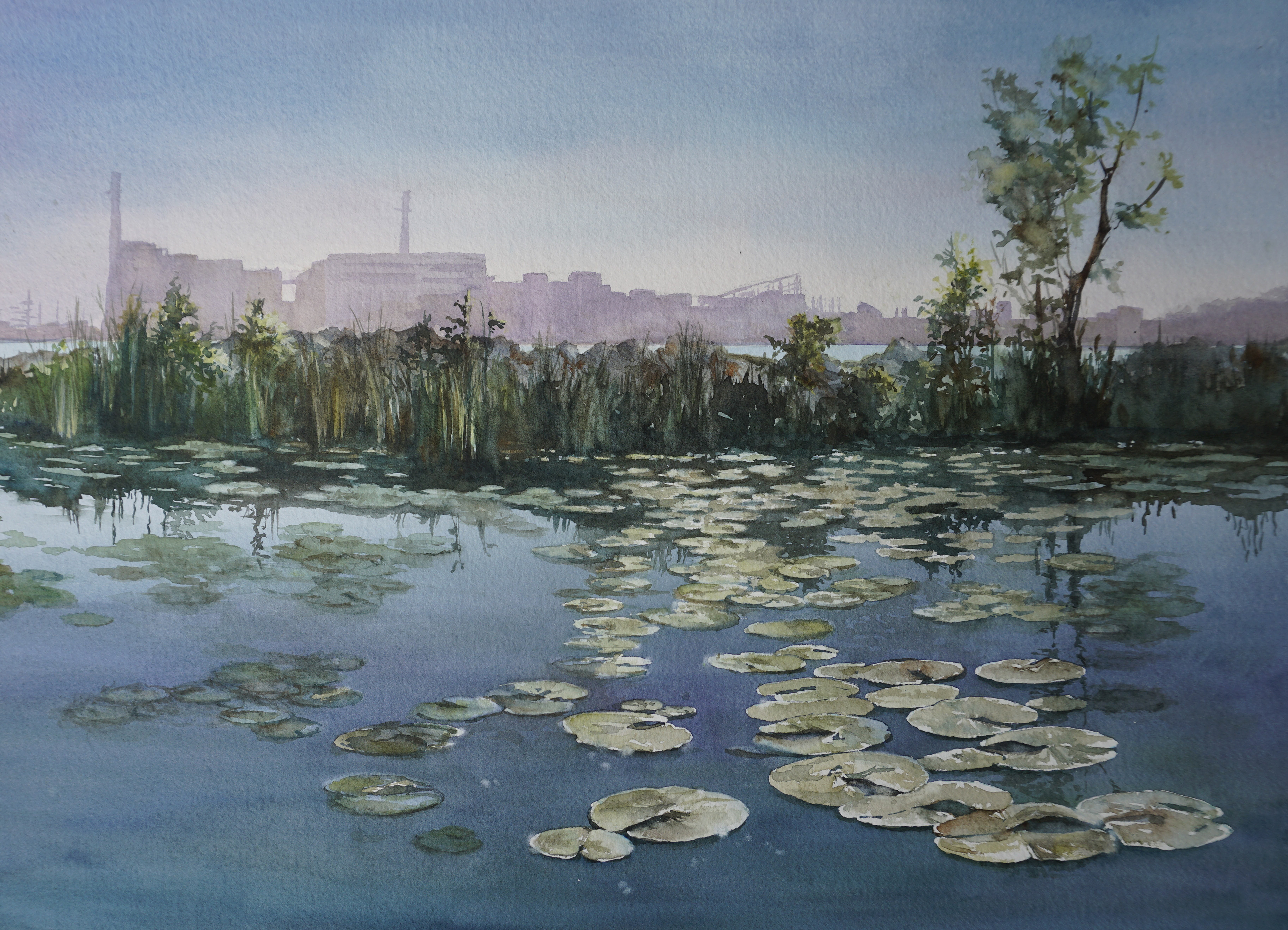 Sold, Giclees available (Winner, NFWS Judges Choice)