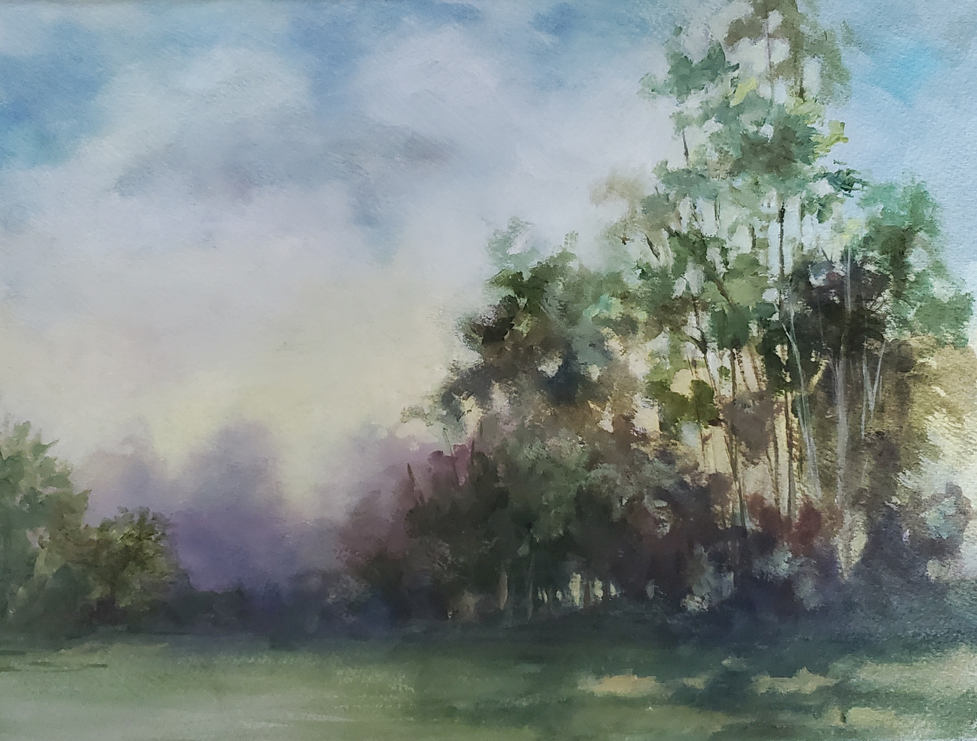 $300 (Best of Show, BNAA Summer 2024 Exhibition