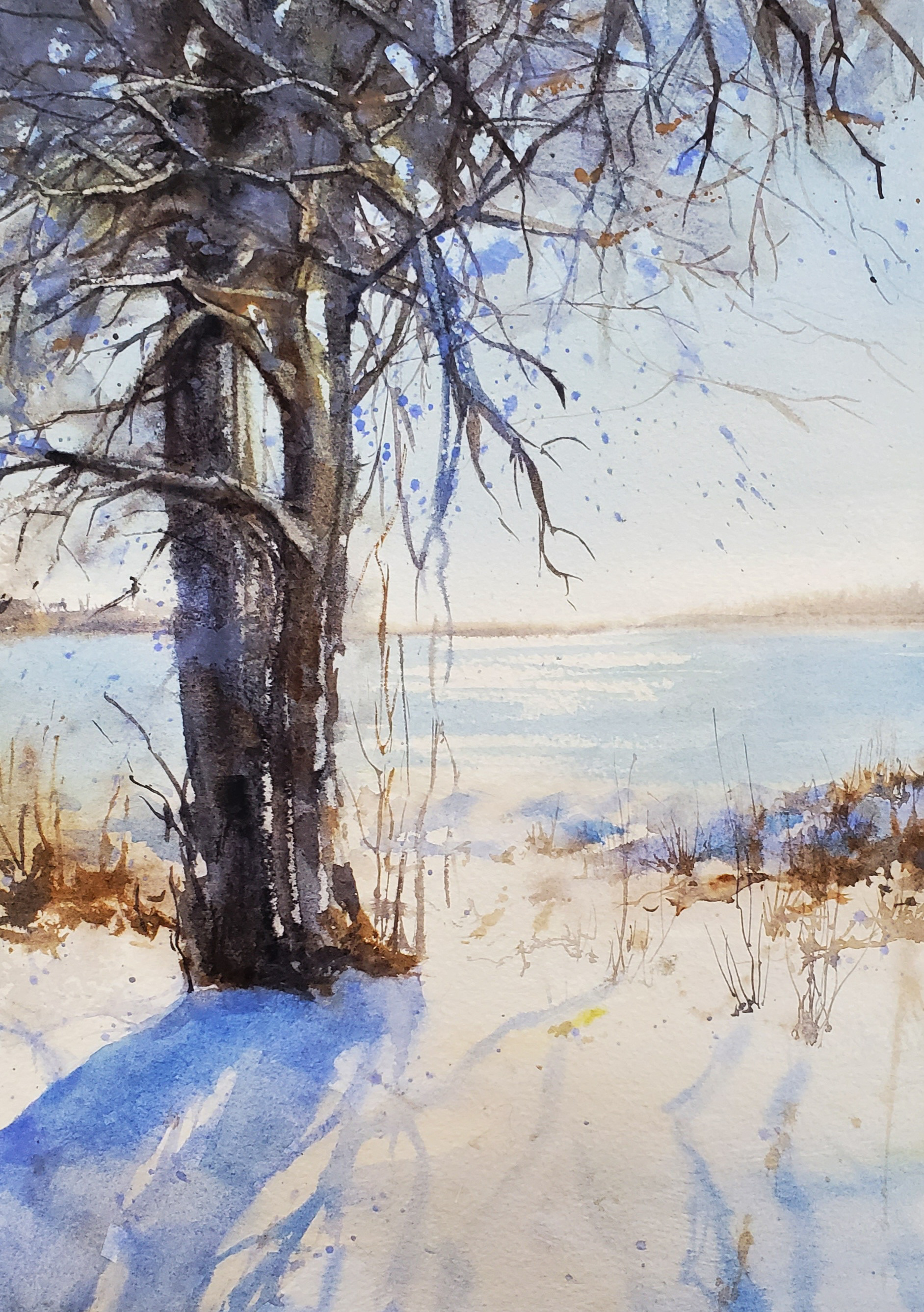 $300 Winter Shadows at Beaver Island