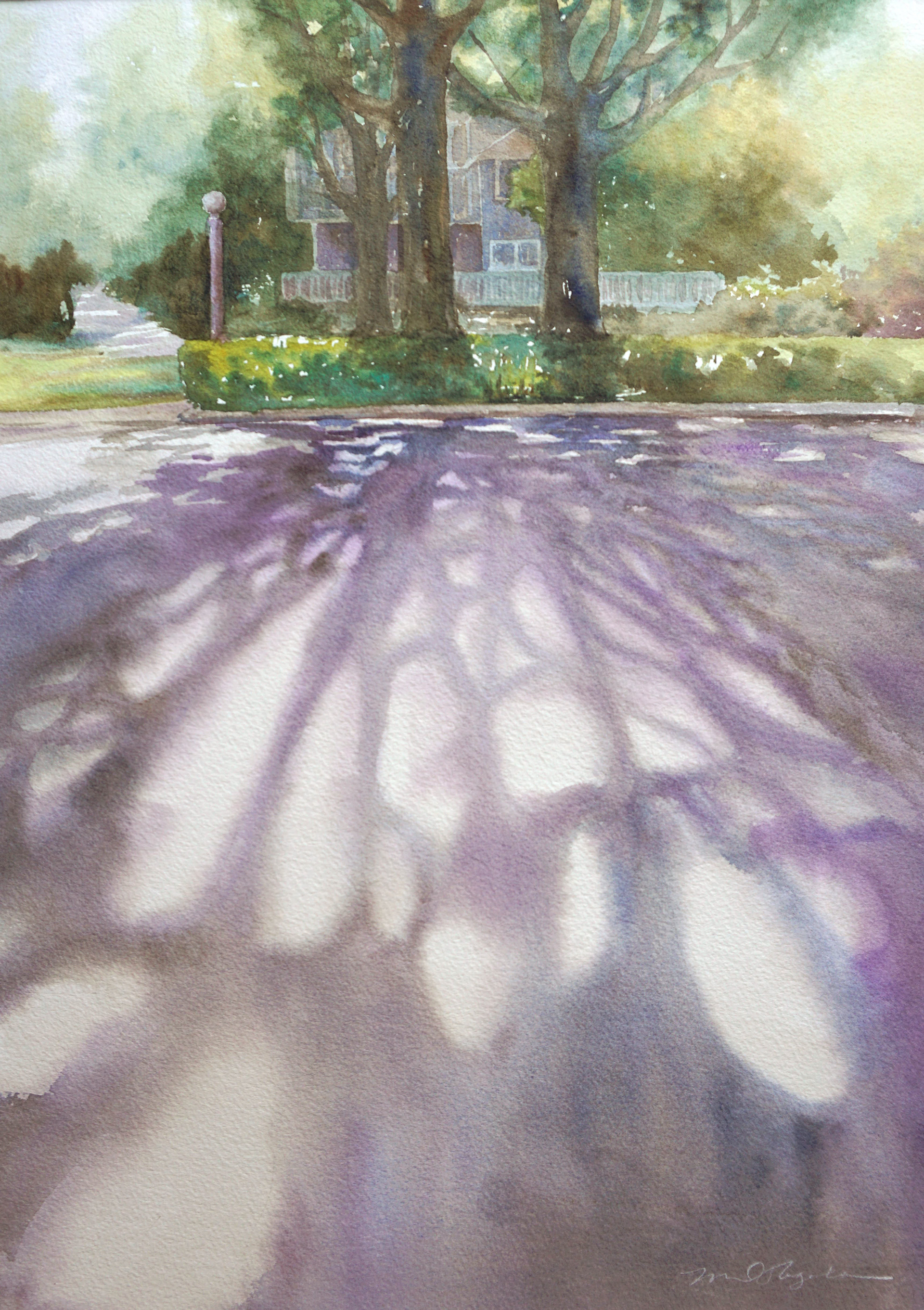 NFS, Giclees available (Award winner, NFWS Board of Directors)