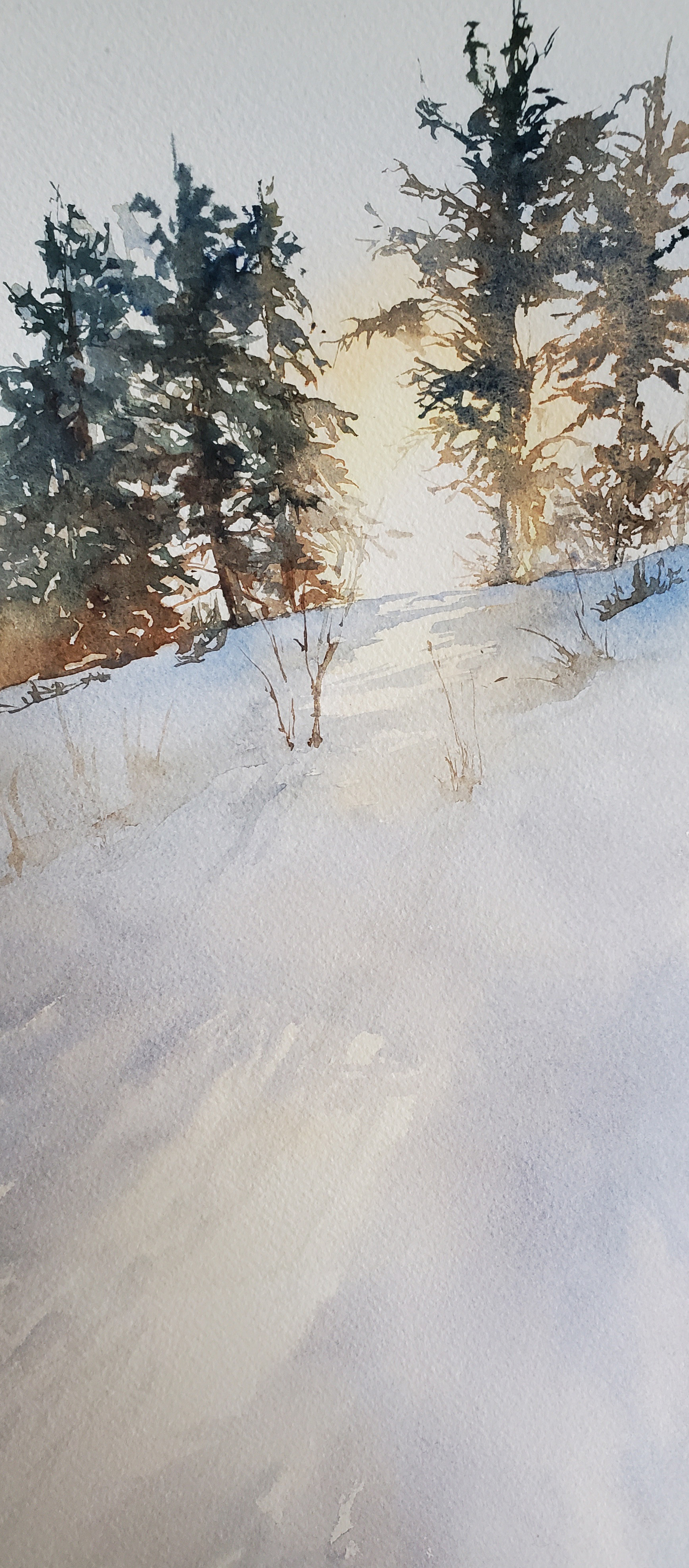 Sold (Winner, BNAA Award of Excellence)