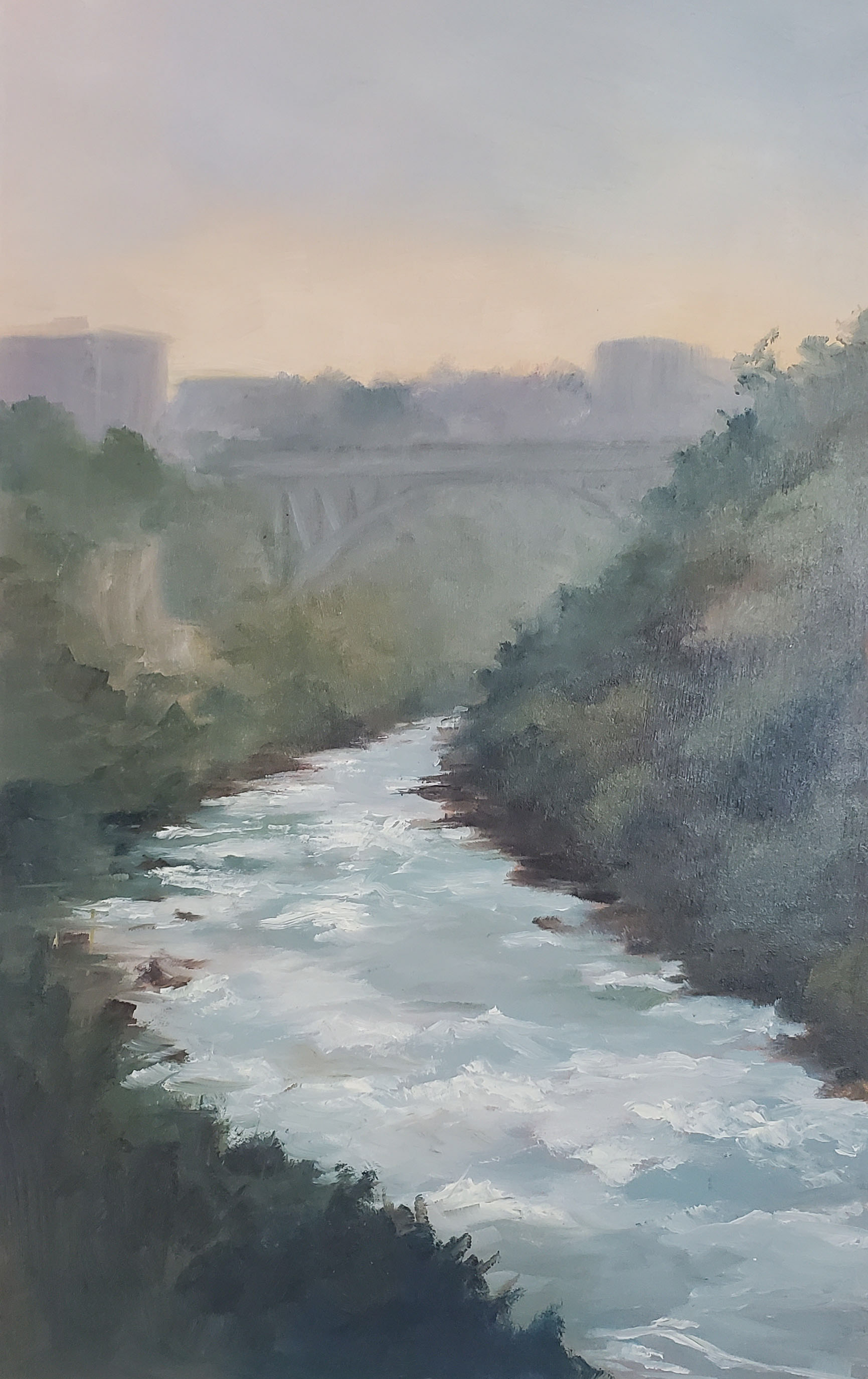 Niagara Gorge $250 8 x 12