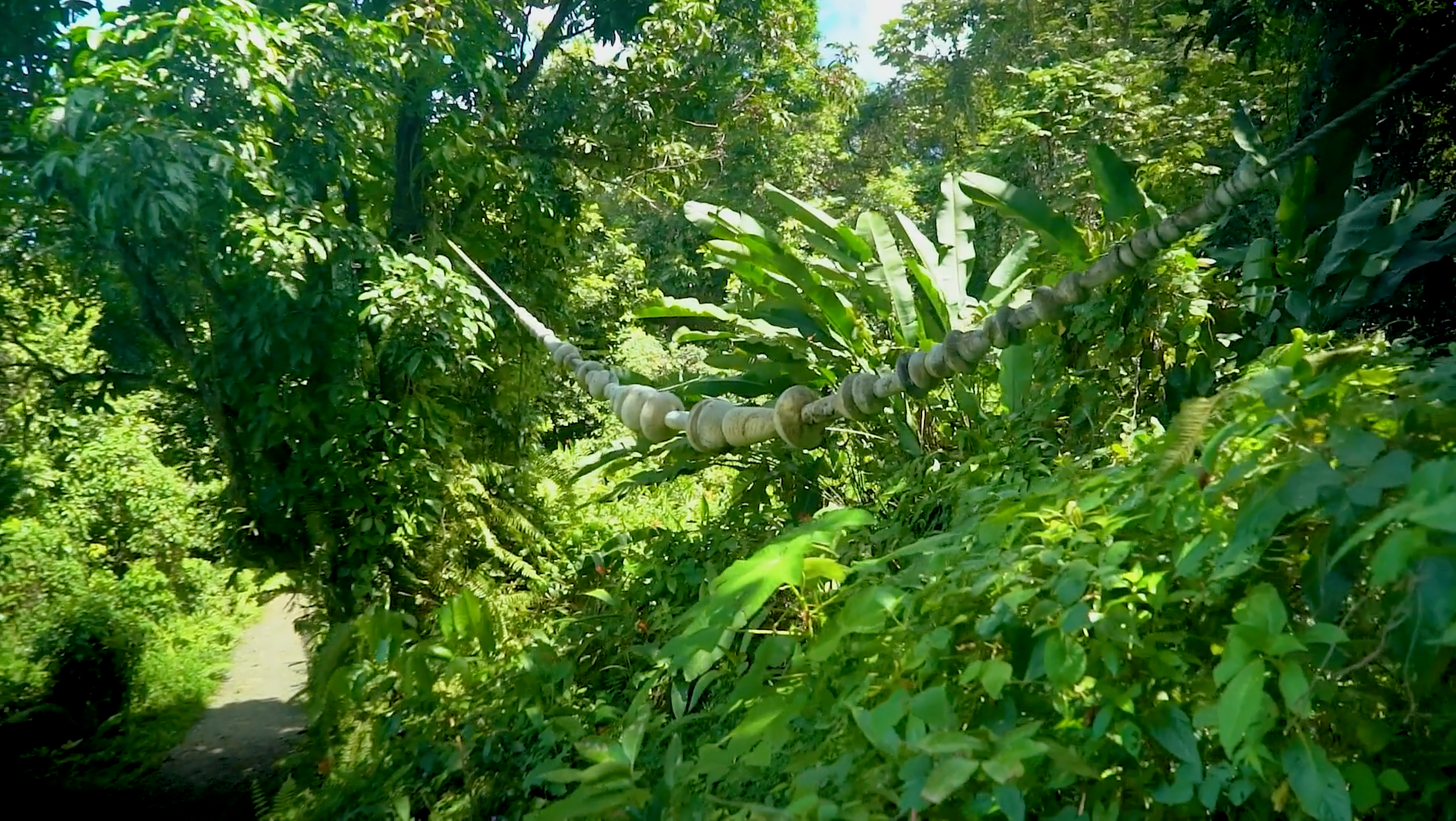 Javier y Jaime Suárez, arteYUNQUE: "Natura" (2023-2024)