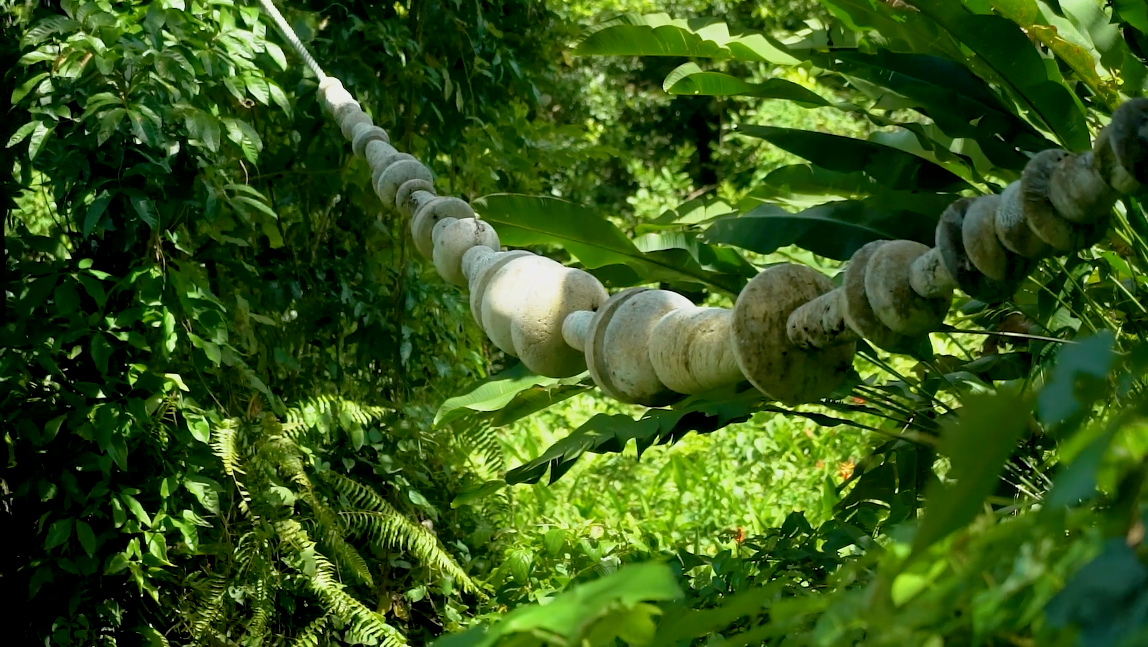 Javier y Jaime Suárez, arteYUNQUE: "Natura" (2023-2024)