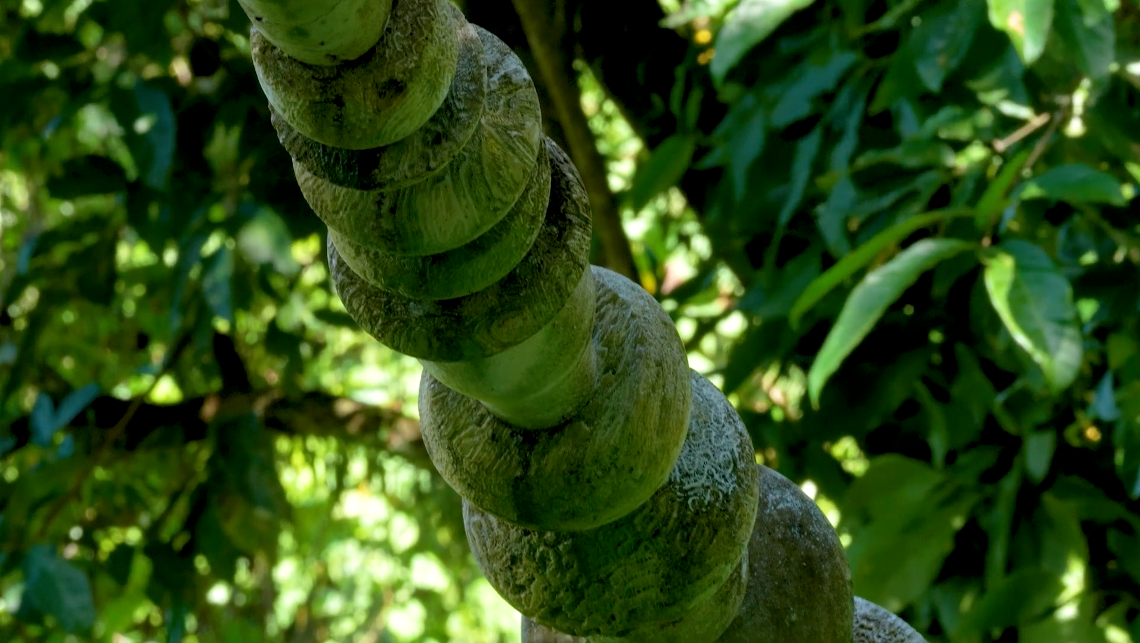 Javier y Jaime Suárez, arteYUNQUE: "Natura" (2023-2024)