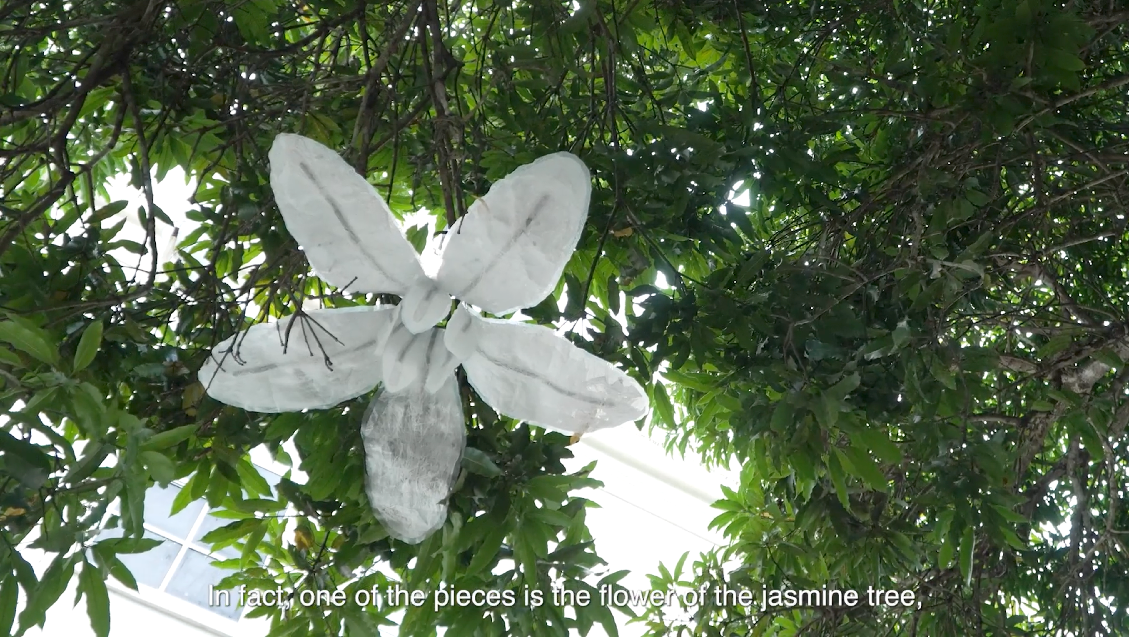 Jesús Manuel "Chú" Gómez, arteYUNQUE: "Ensayos en la Naturaleza" (2024-2025)
