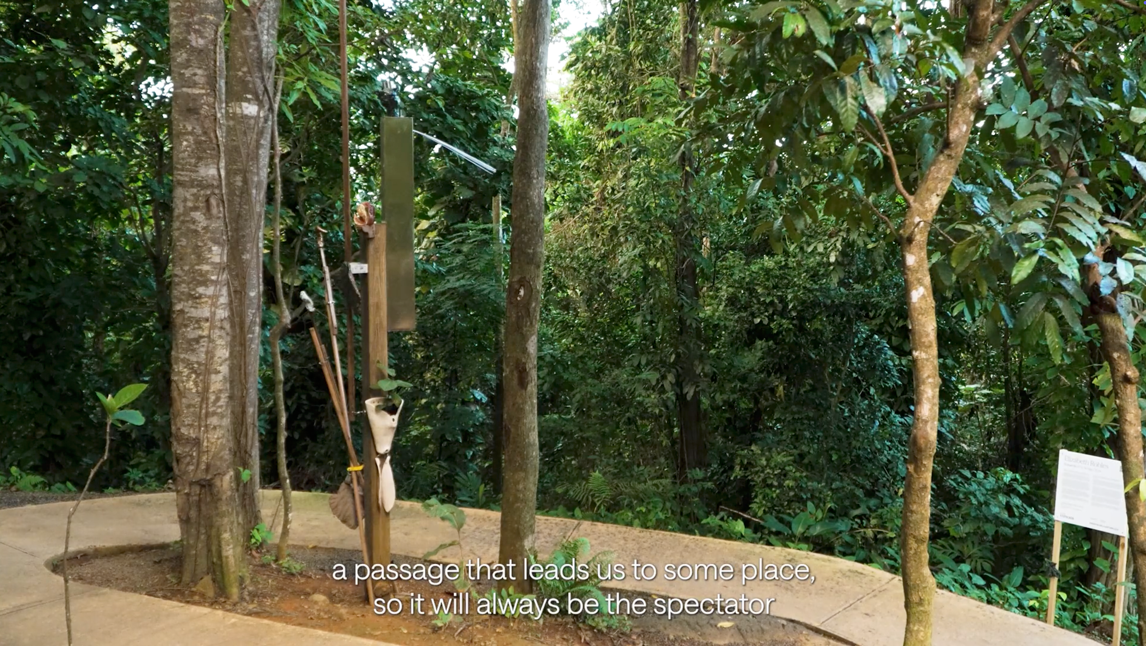 Elizabeth Robles, arteYUNQUE: "Ensayos en la Naturaleza" (2024-2025)