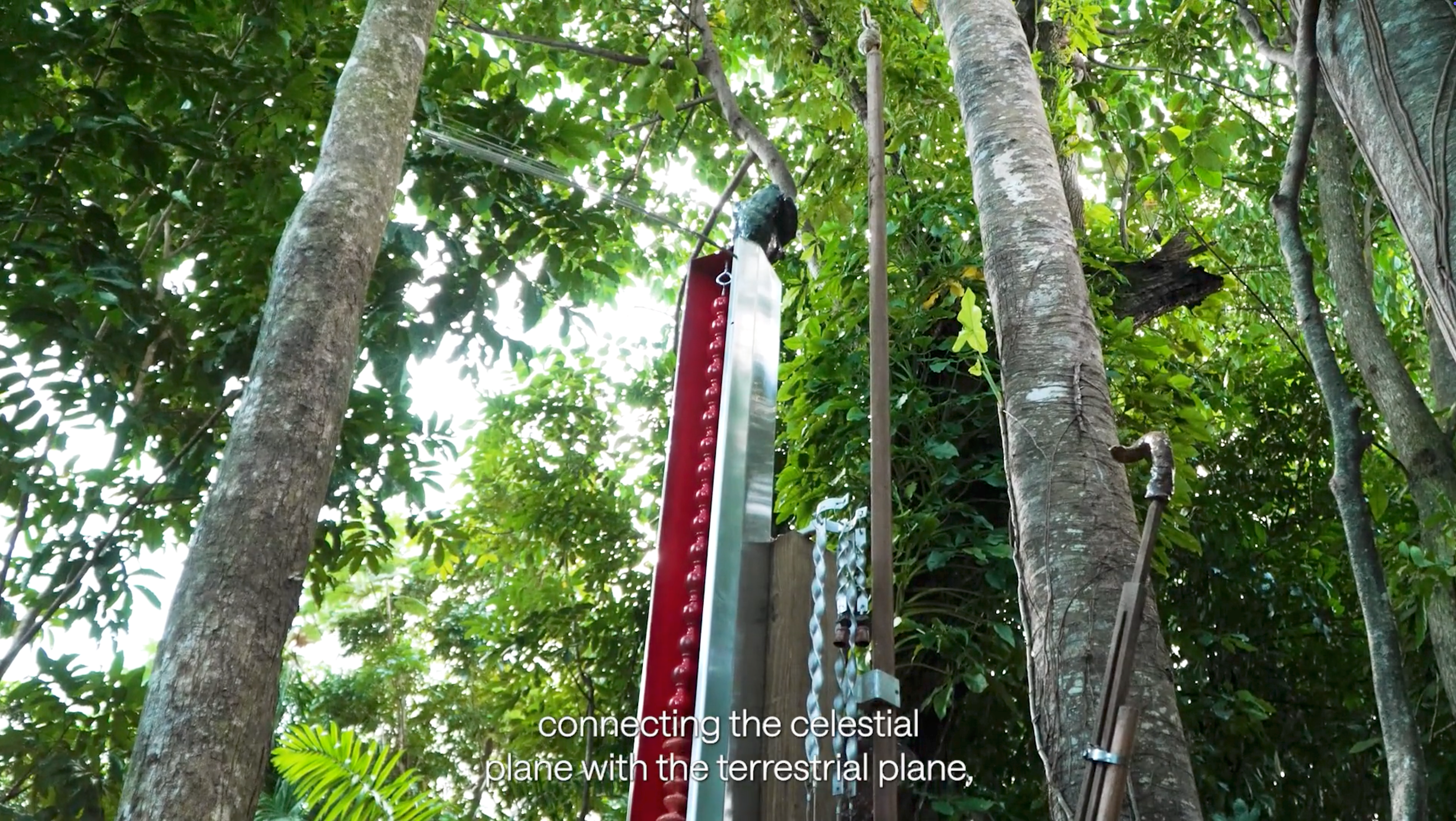 Elizabeth Robles, arteYUNQUE: "Ensayos en la Naturaleza" (2024-2025)