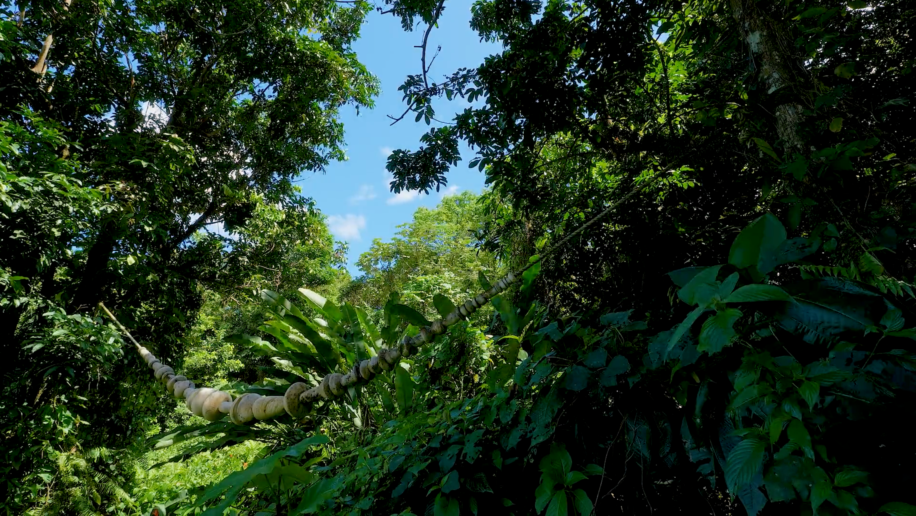 Javier y Jaime Suárez, arteYUNQUE: "Natura" (2023-2024)