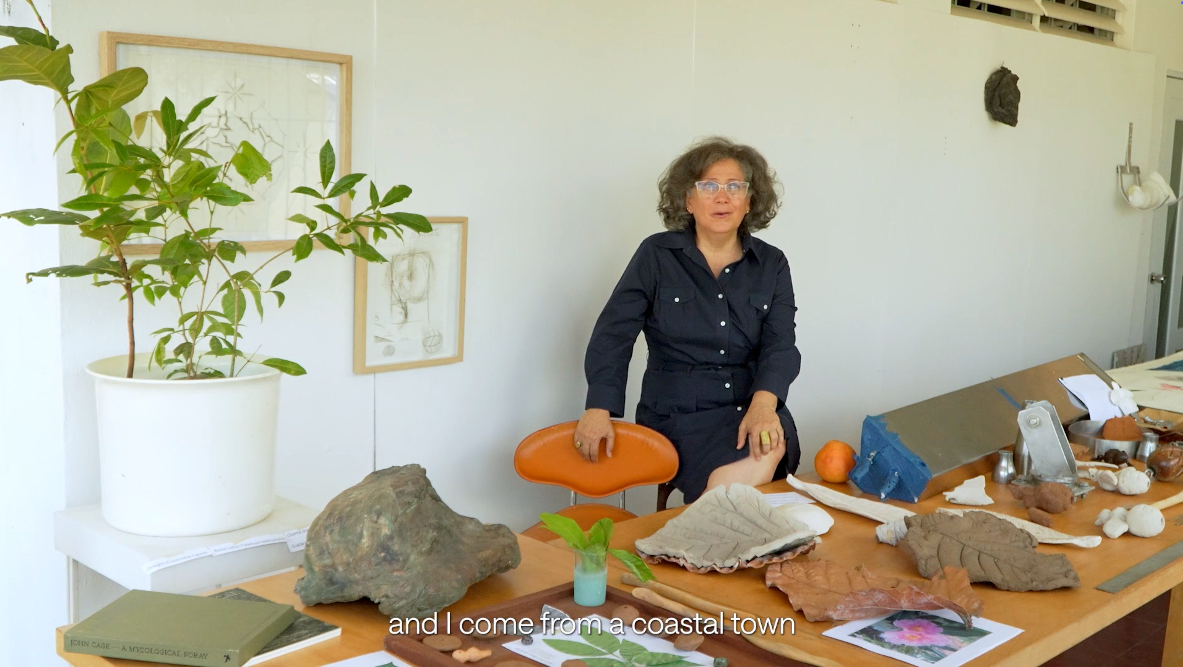 Elizabeth Robles, arteYUNQUE: "Ensayos en la Naturaleza" (2024-2025)