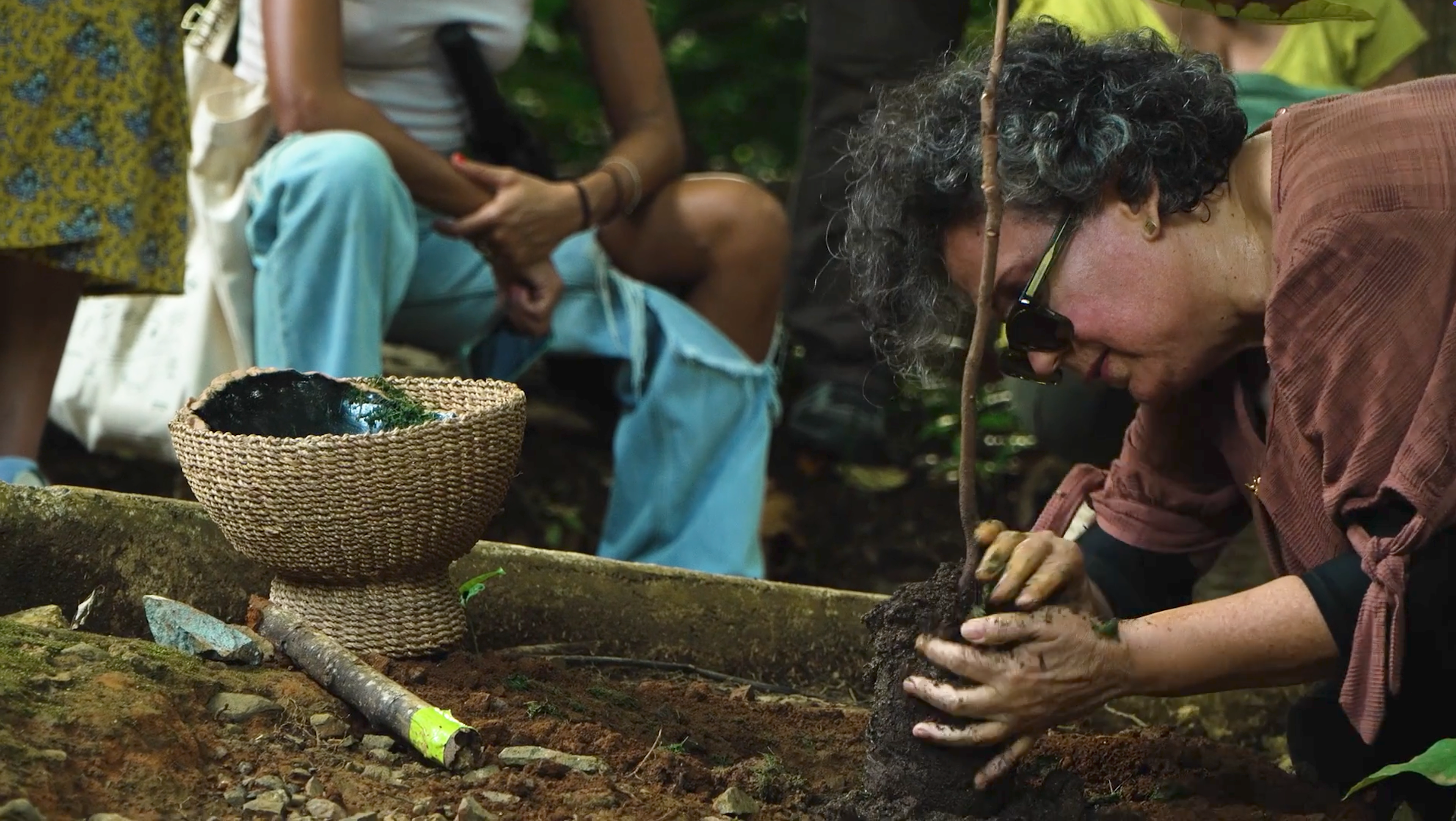 Elizabeth Robles, arteYUNQUE: "Ensayos en la Naturaleza" (2024-2025)