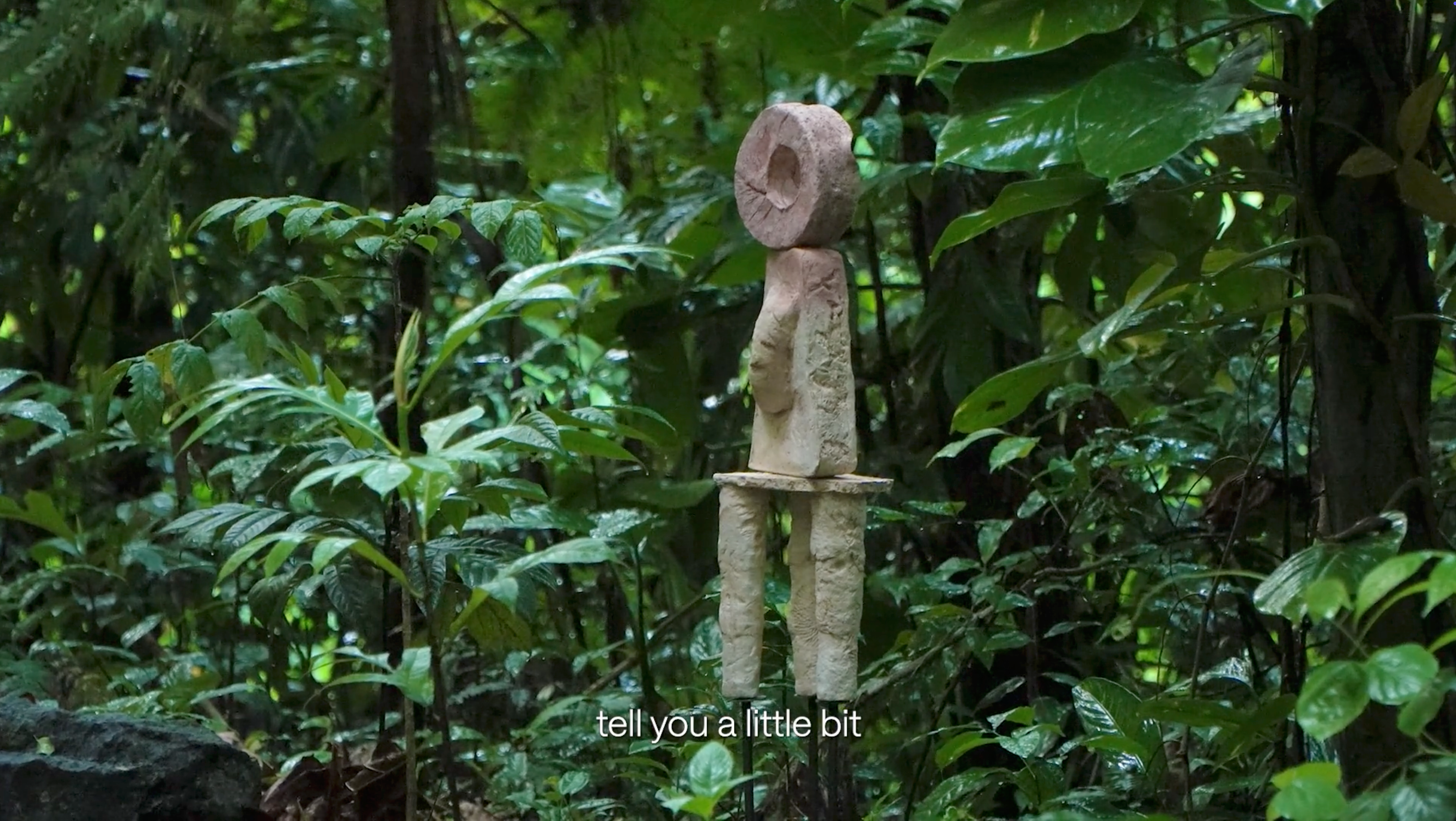 Gadiel Rivera Herrera, arteYUNQUE: "Ensayos en la Naturaleza" (2024-2025)