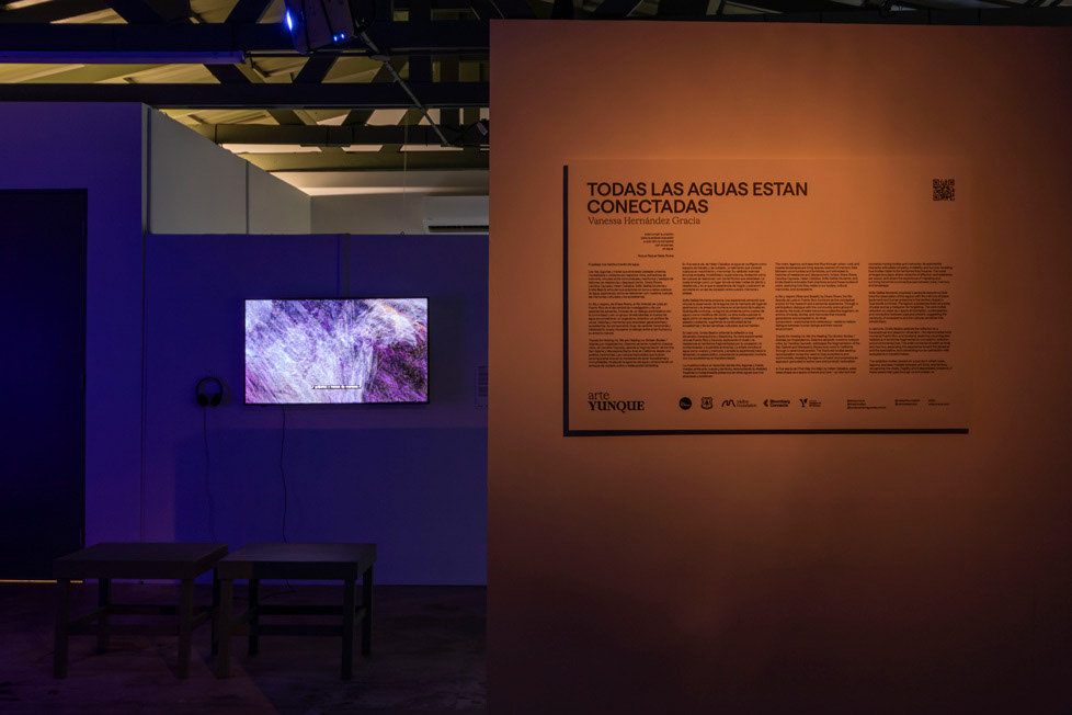 Emilia Beatriz y Declaración Curatorial de exhibición.