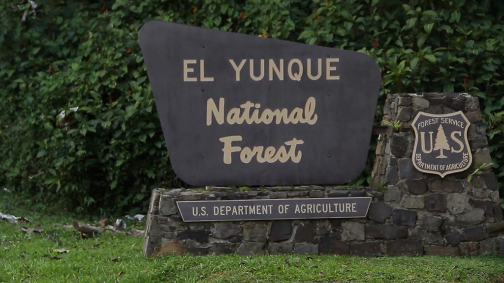 Poetic Science, U.S. Forest Service y MAC (2013)