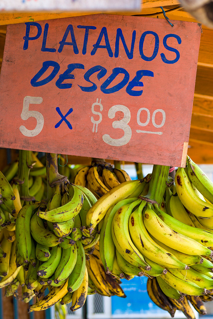 2da Edición Caldo Santo: Recetas de Doña Carmen "Yiya" Rivera Rodríguez, Editorial ICP (2014)