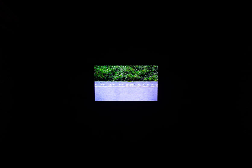 Video de Dhara Rivera: "Río"