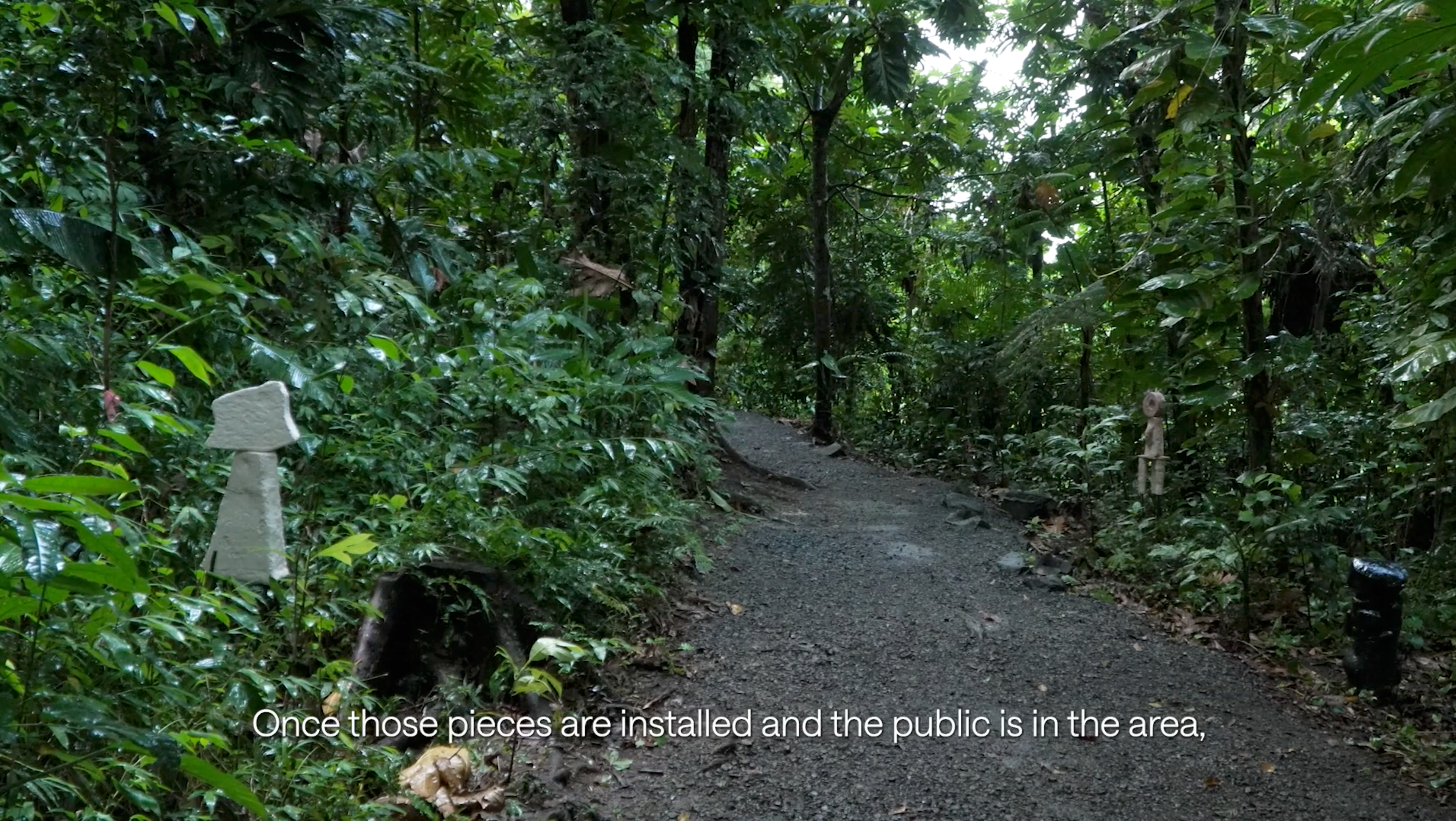Gadiel Rivera Herrera, arteYUNQUE: "Ensayos en la Naturaleza" (2024-2025)